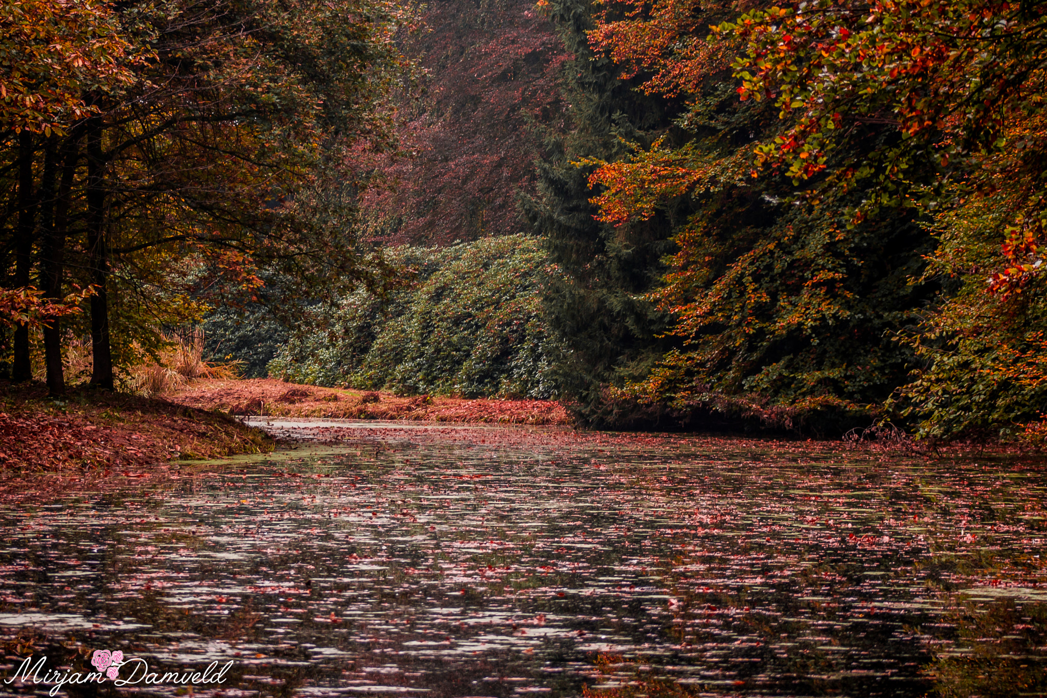 Canon EOS 40D sample photo. Autumn lake photography