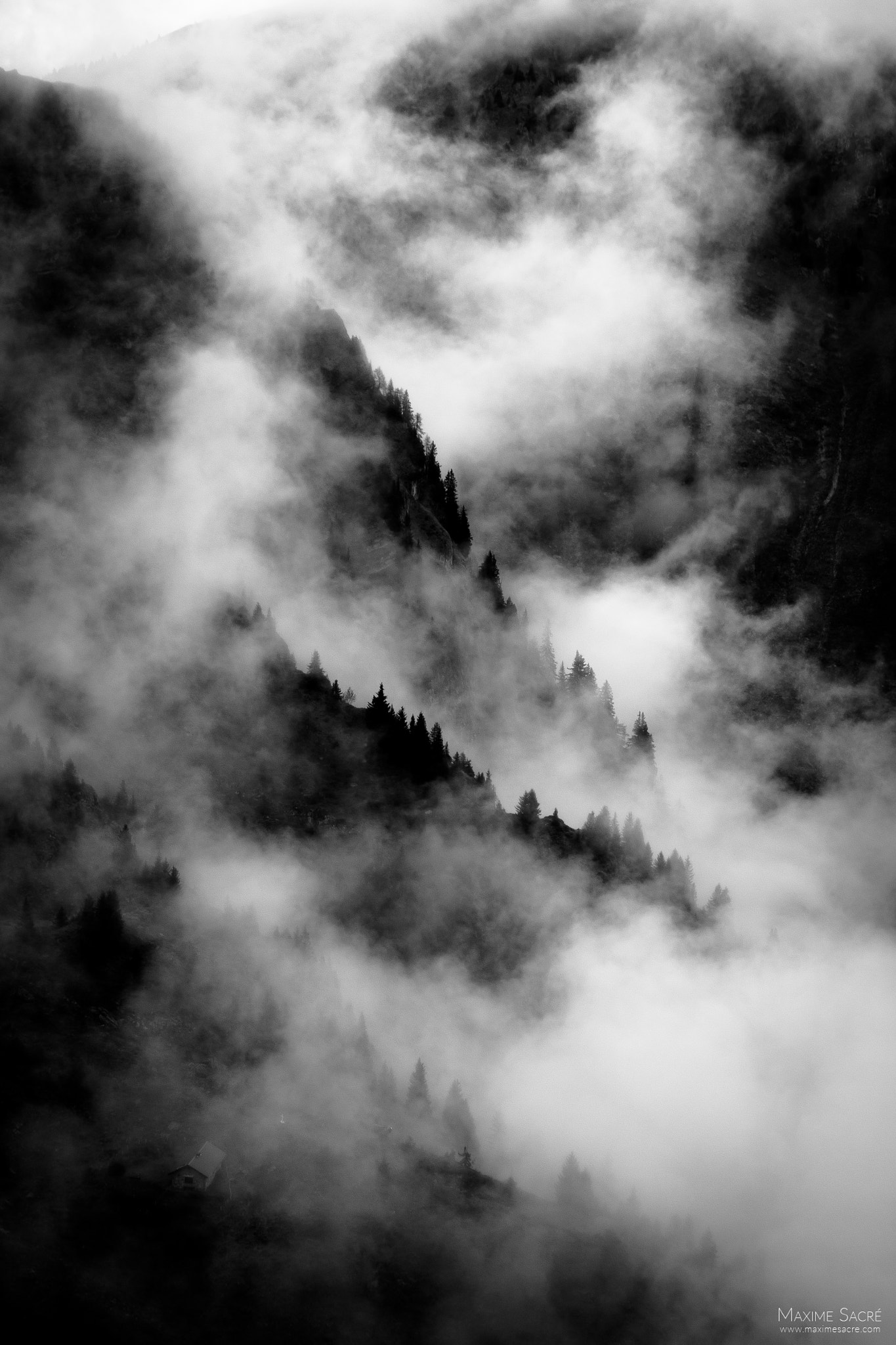 Canon EOS 500D (EOS Rebel T1i / EOS Kiss X3) sample photo. Lost in the clouds photography