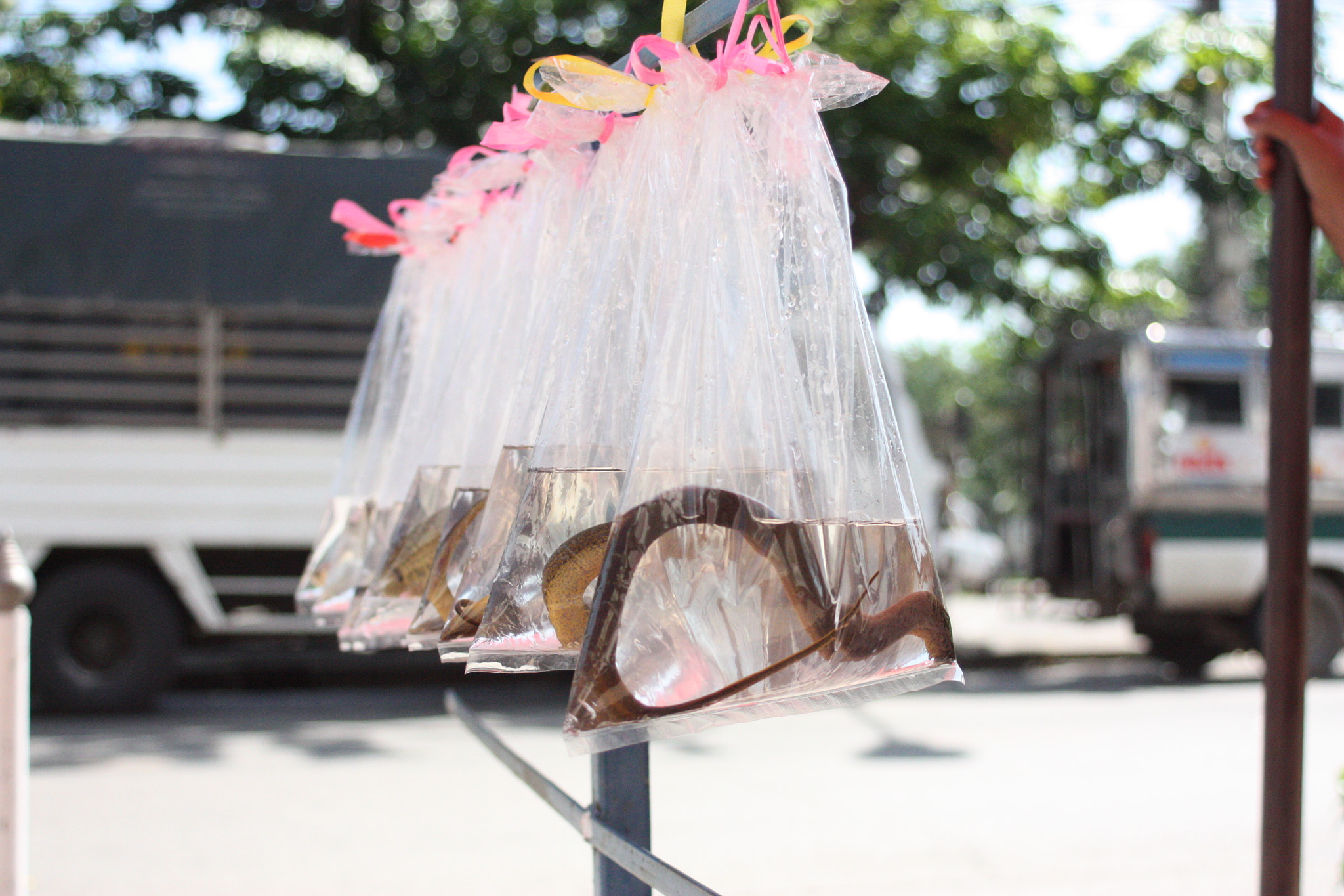 Canon EF 28-80mm f/3.5-5.6 sample photo. 08-1 photography