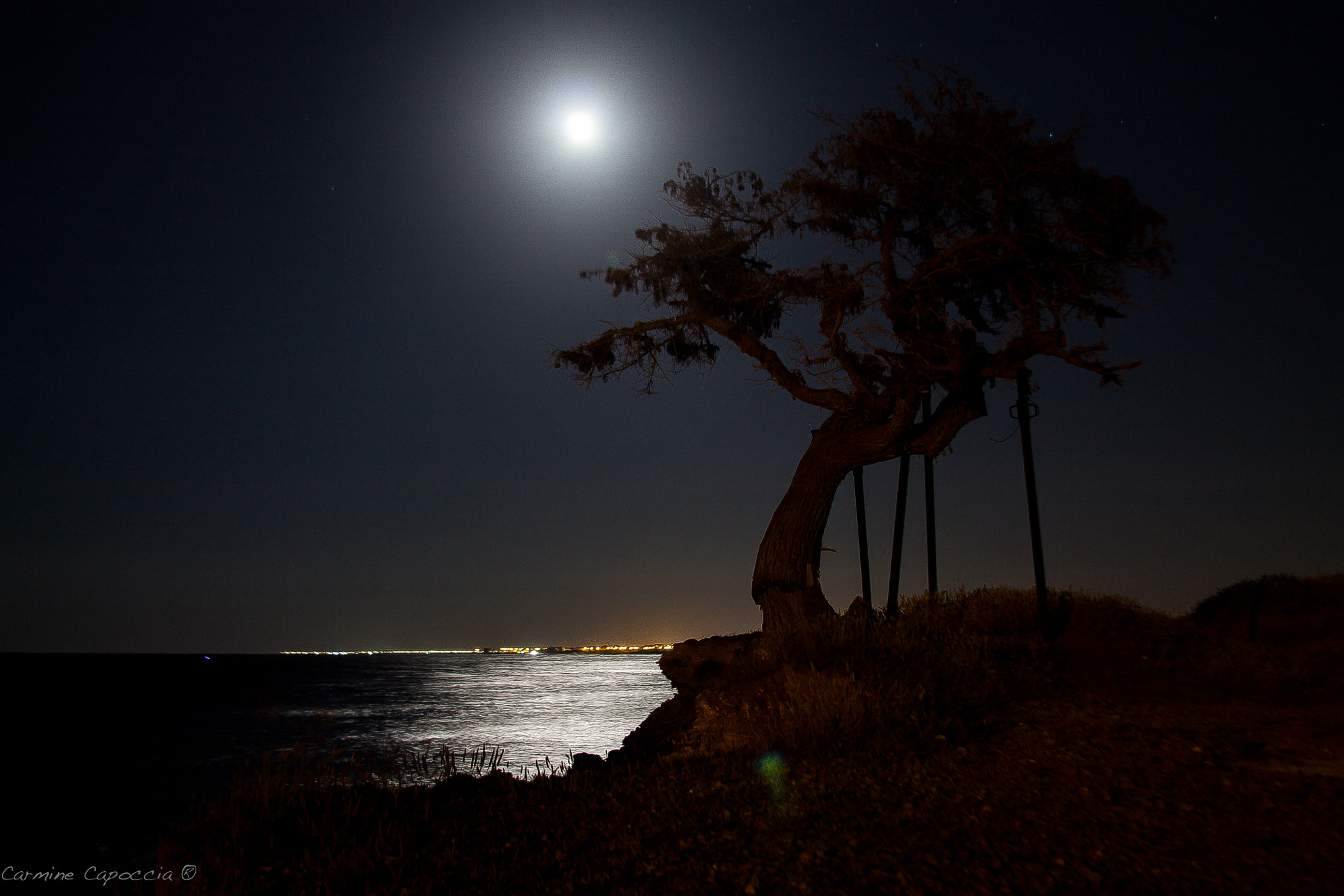 Canon EF 28-135mm F3.5-5.6 IS USM sample photo. Un albero attaccato alla vita photography