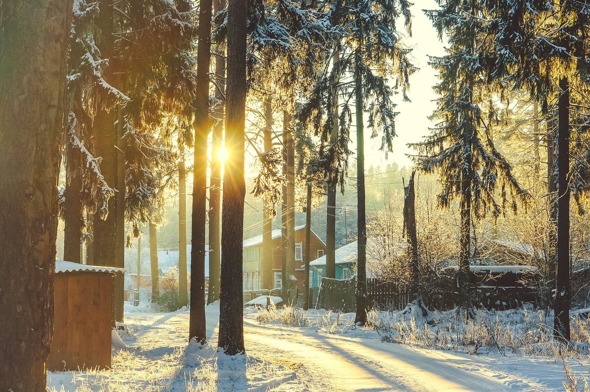 Sony Alpha NEX-6 sample photo. Frosty morning photography