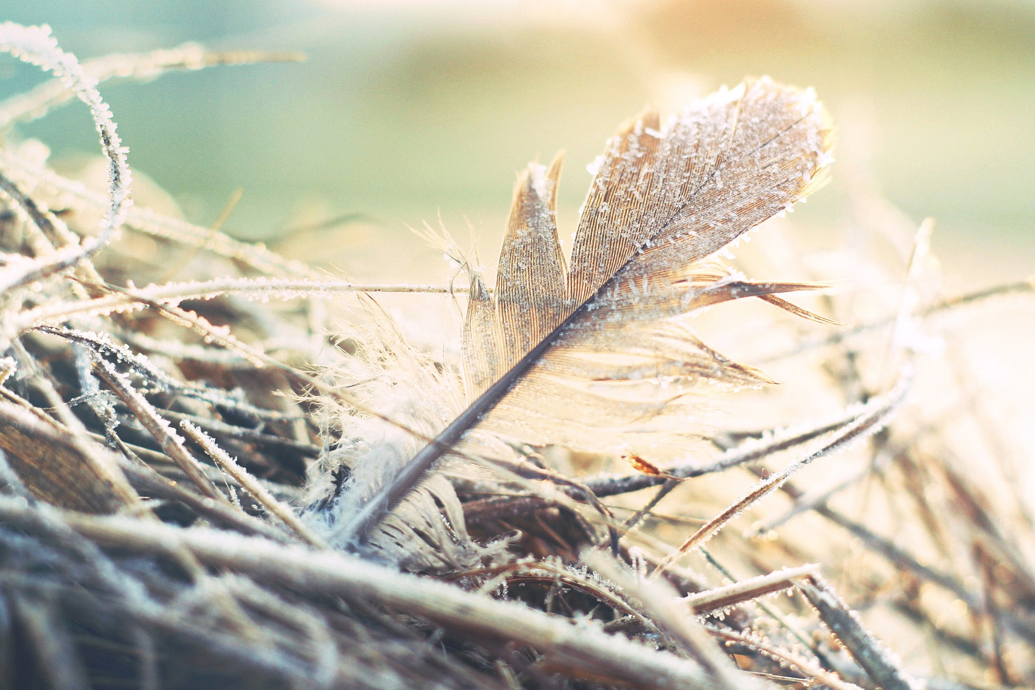 Canon EF 35-80mm f/4-5.6 sample photo. Winter is coming..... photography