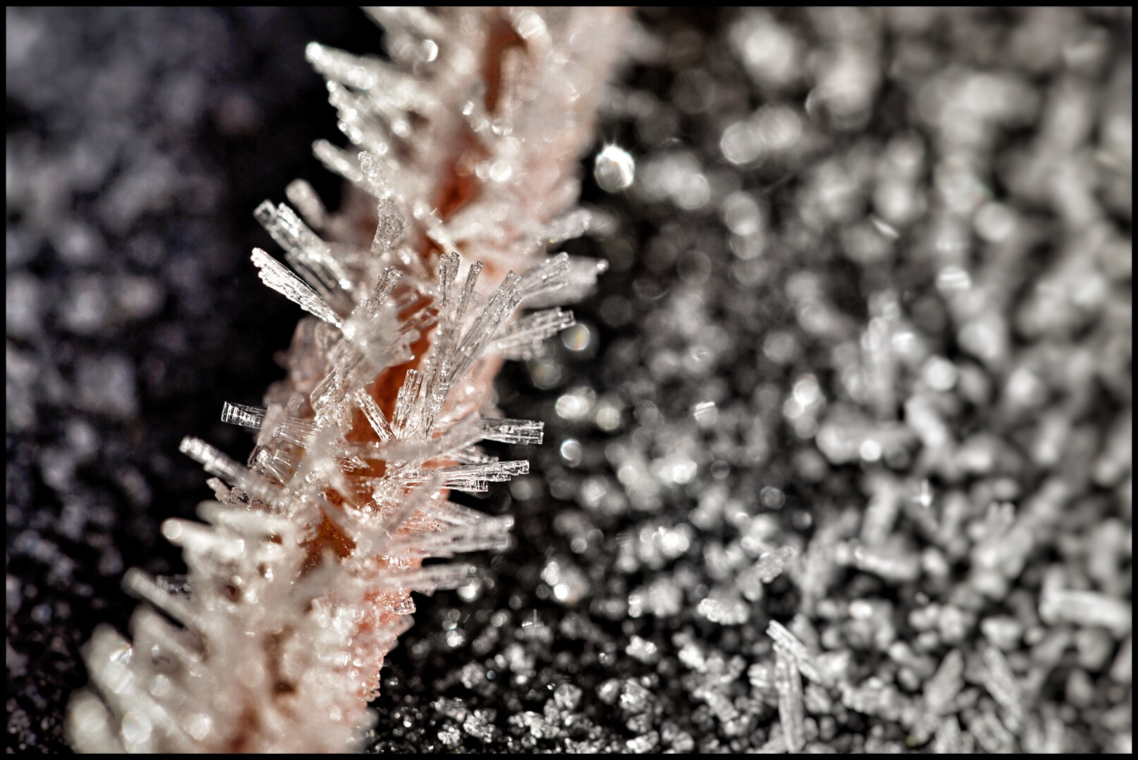 Sony a7 II + Tamron 18-270mm F3.5-6.3 Di II PZD sample photo. Frost in the darkness photography