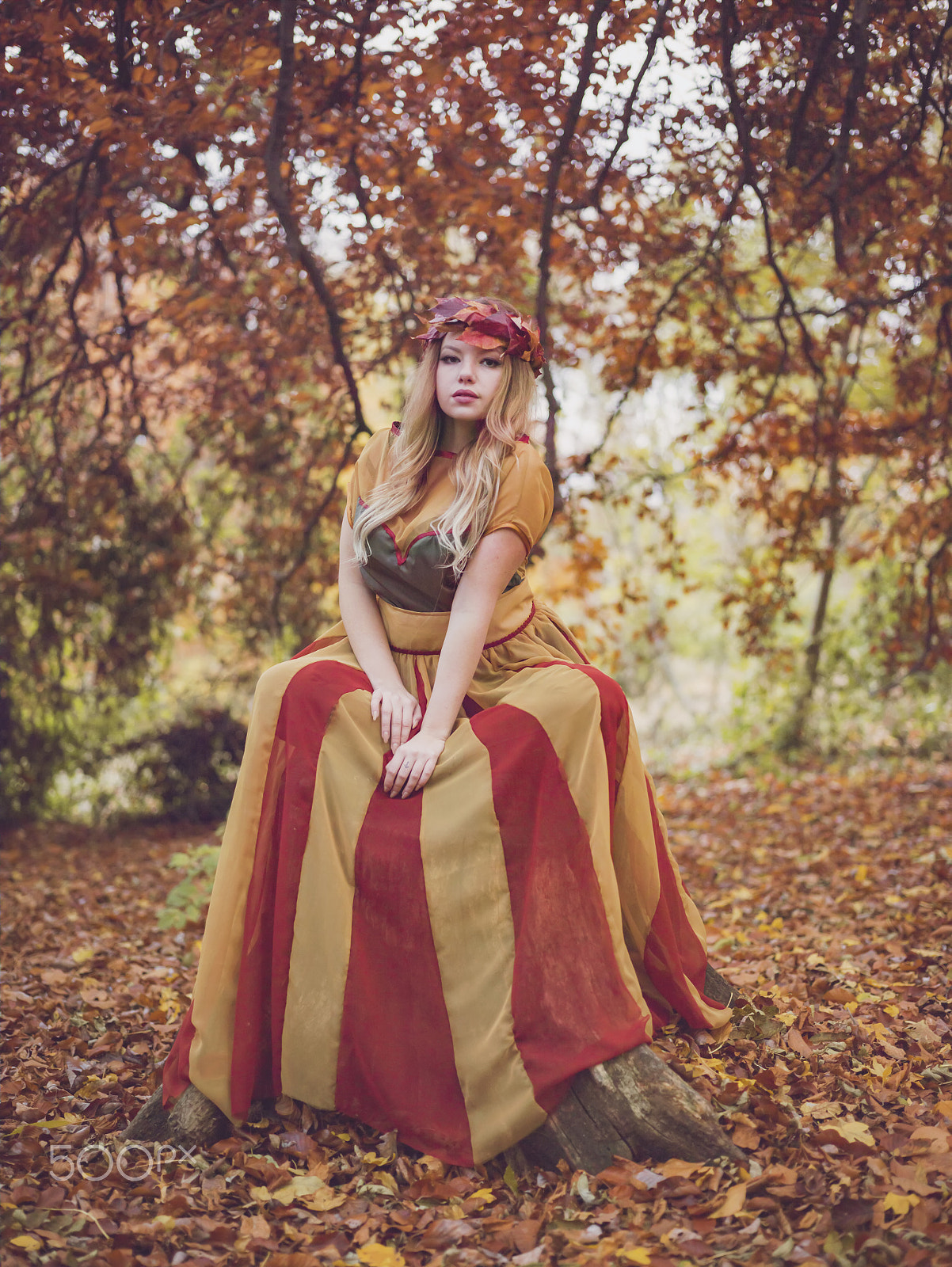 Phase One IQ280 sample photo. Autumn princess photography