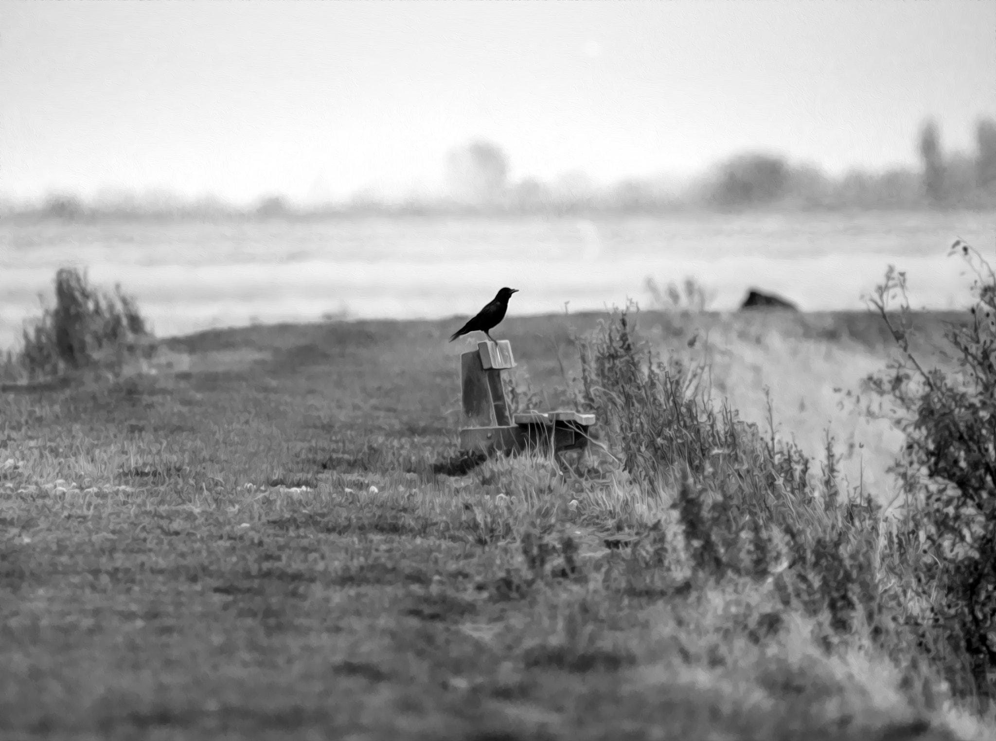 Nikon D800 sample photo. Just looking photography