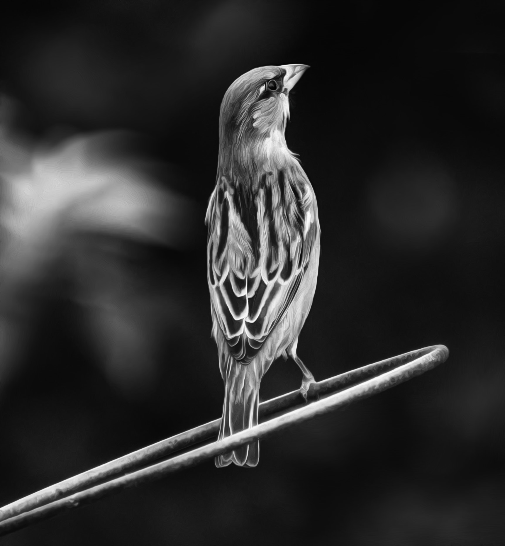 Nikon D800 sample photo. Standing tall photography