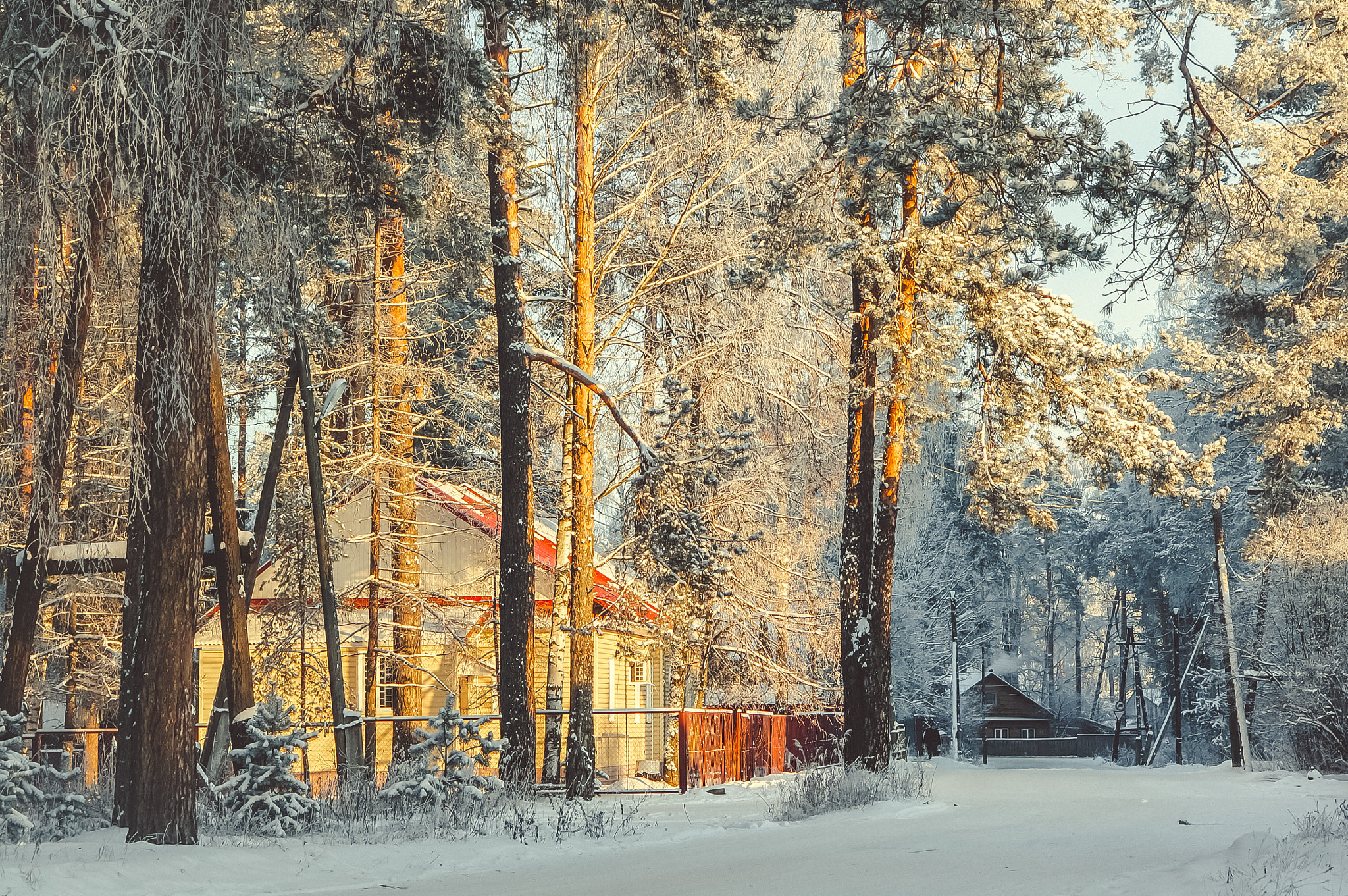 Sony Alpha NEX-6 + E 50mm F1.8 OSS sample photo. Winter's tale photography