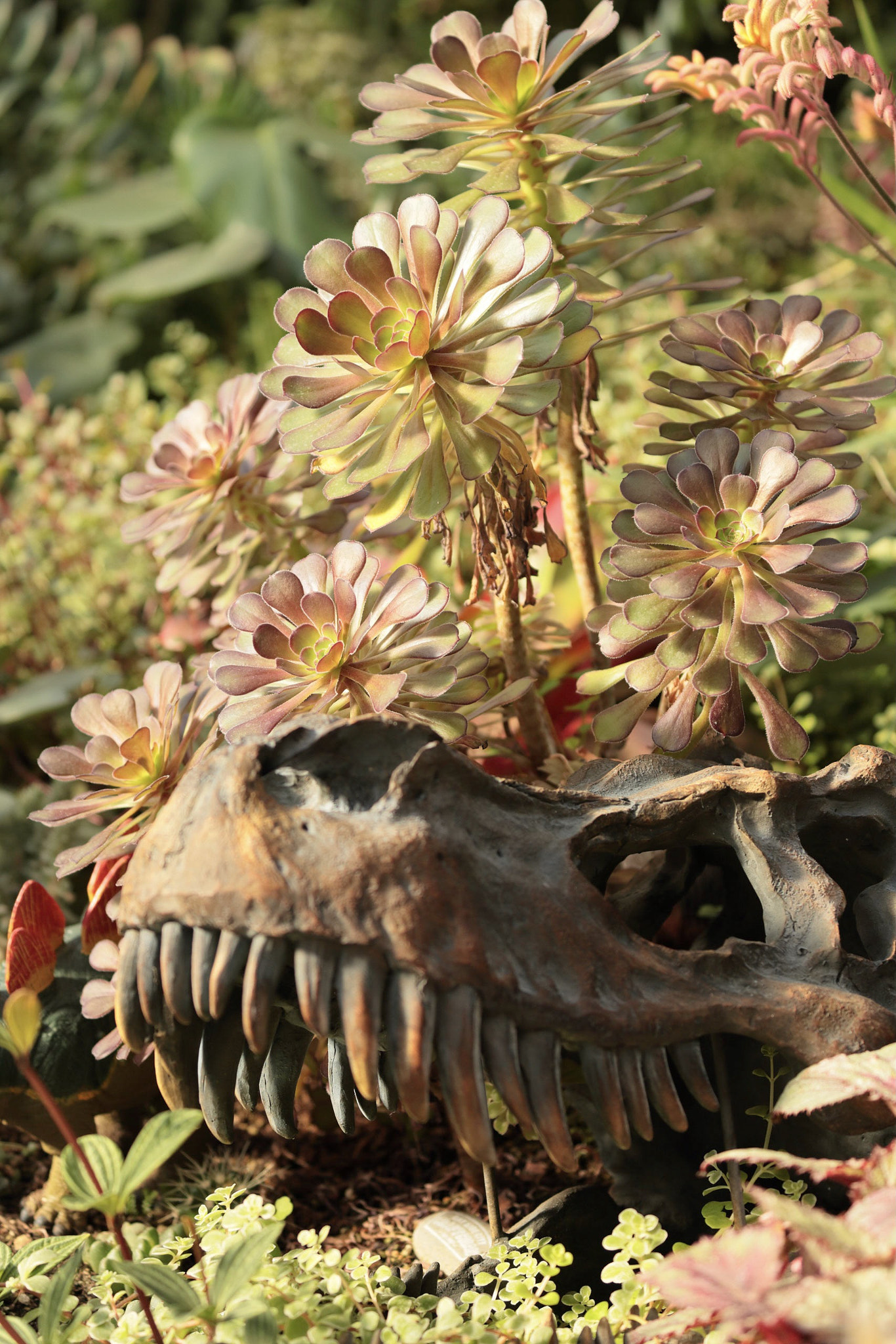 Canon EOS-1D X Mark II sample photo. A dinosaur photography