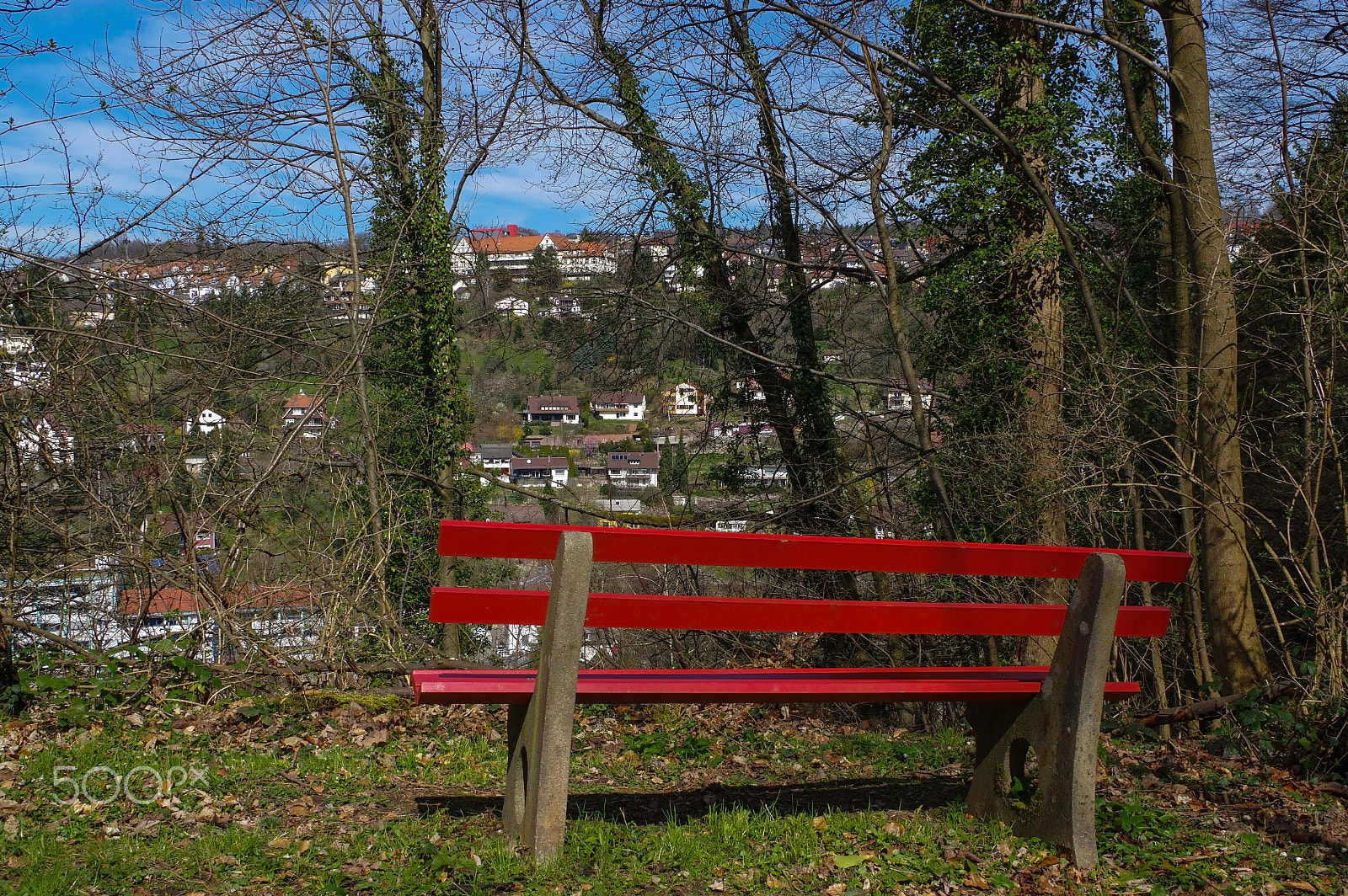 Pentax K-3 sample photo. Wooden red park bench under trees in the forest photography