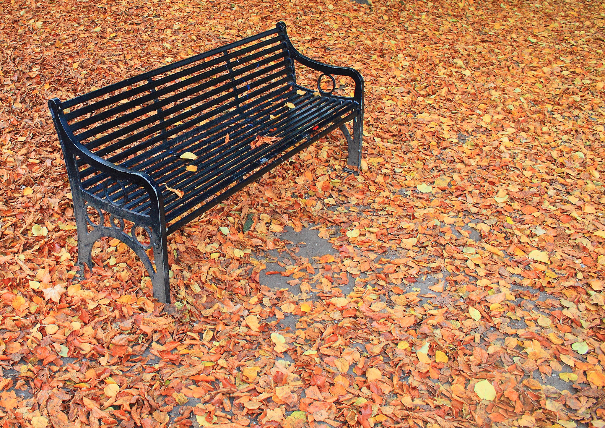 Canon EF-S 18-55mm F3.5-5.6 IS II sample photo. Take a seat photography