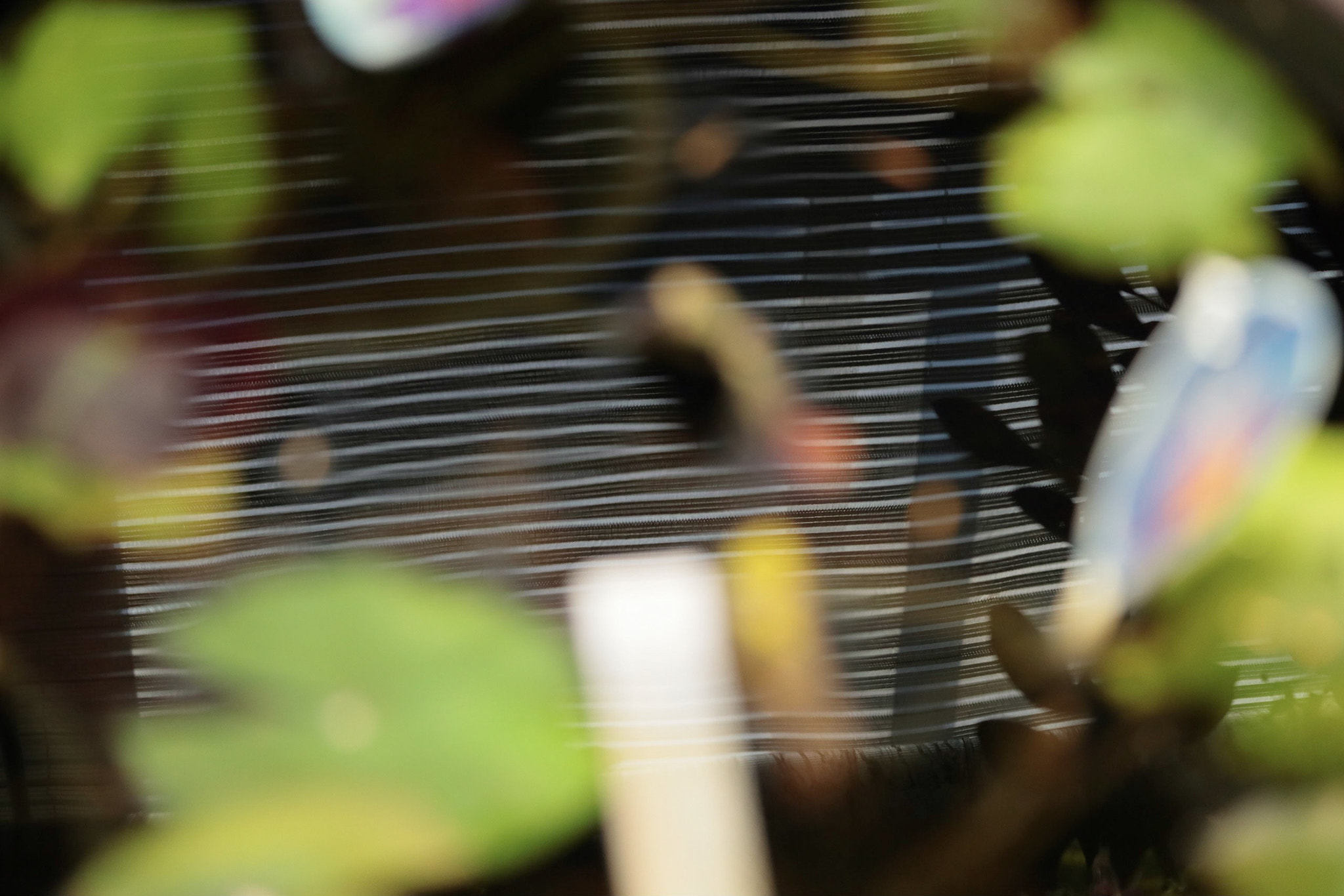 Canon EOS-1D X Mark II sample photo. A reflex photography