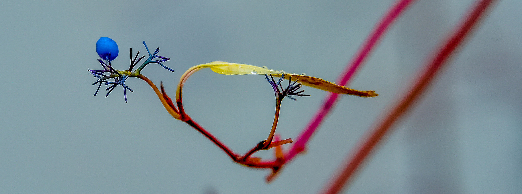 Tamron SP 70-200mm F2.8 Di VC USD sample photo. Autumn photography