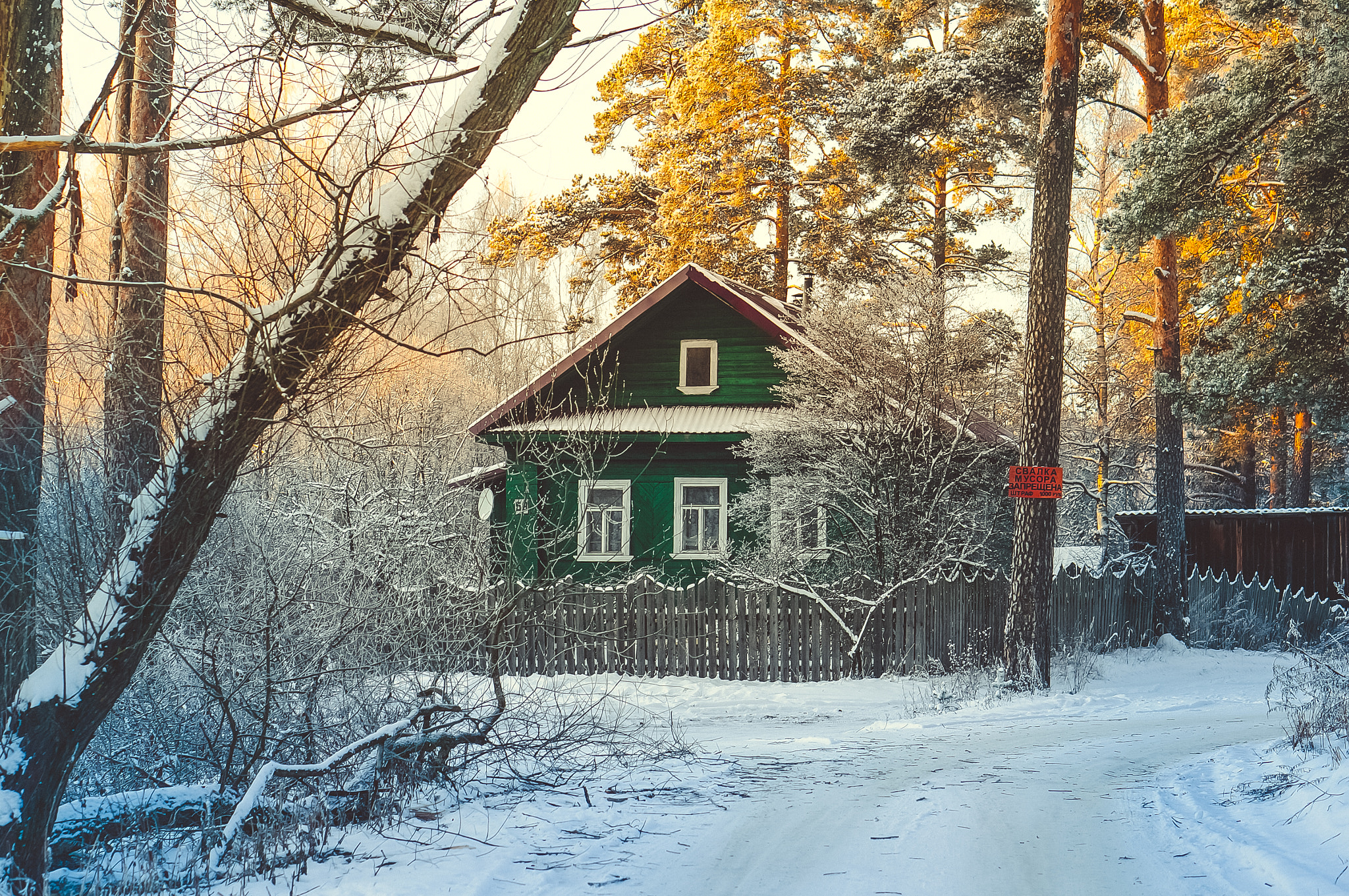 Sony Alpha NEX-6 sample photo. House in the winter forest photography