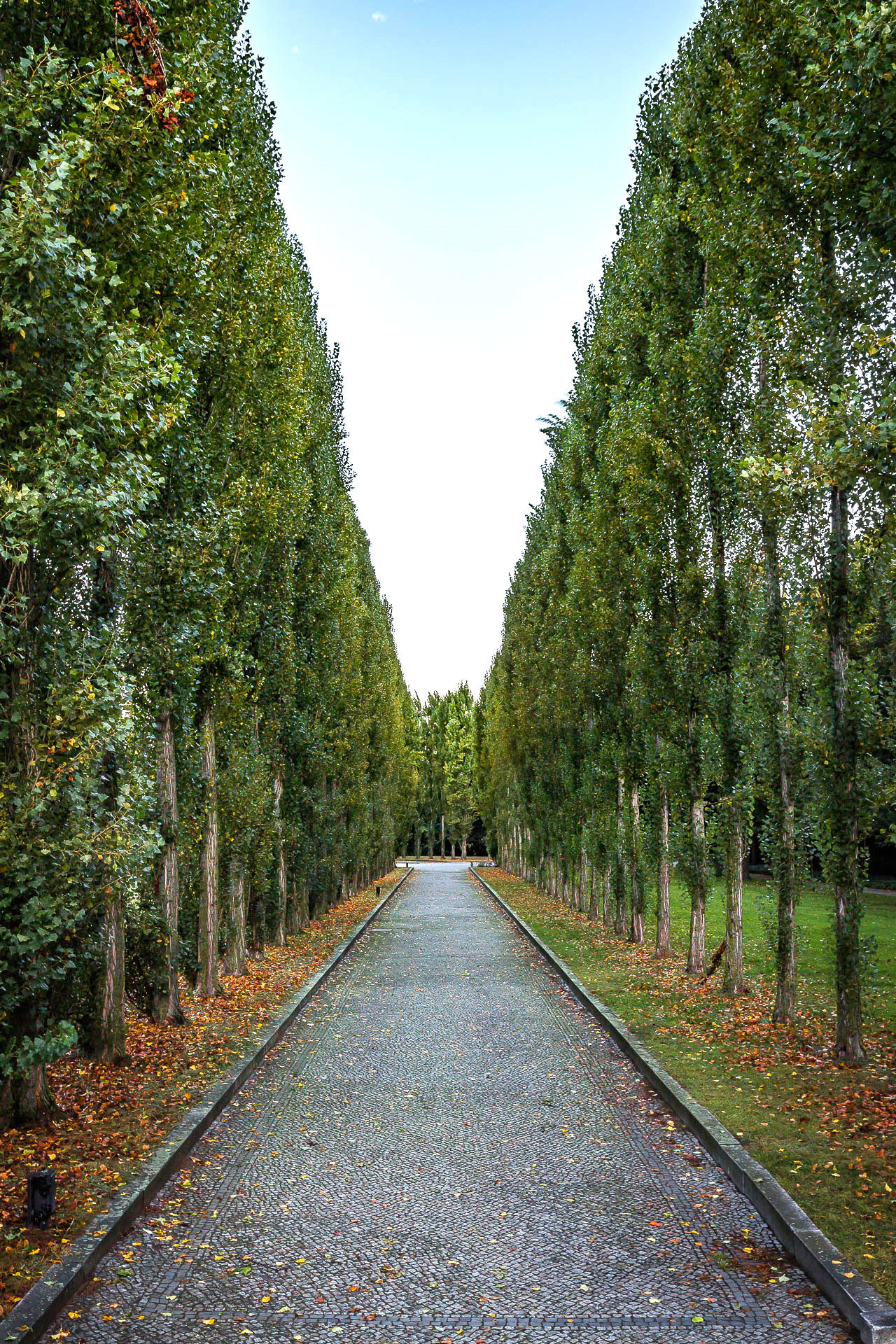Canon EOS M sample photo. Allee photography