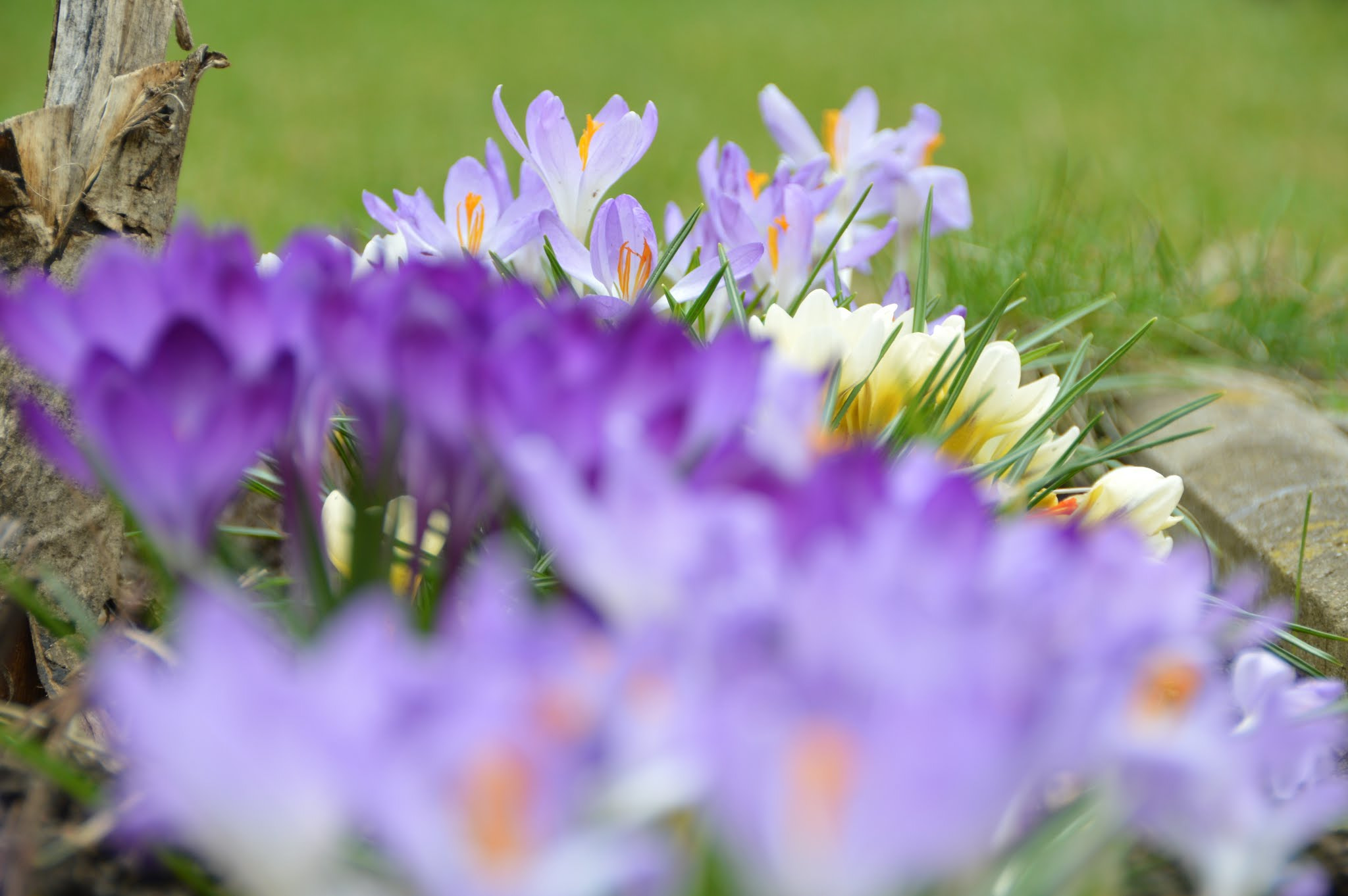 Sigma 18-250mm F3.5-6.3 DC OS HSM sample photo