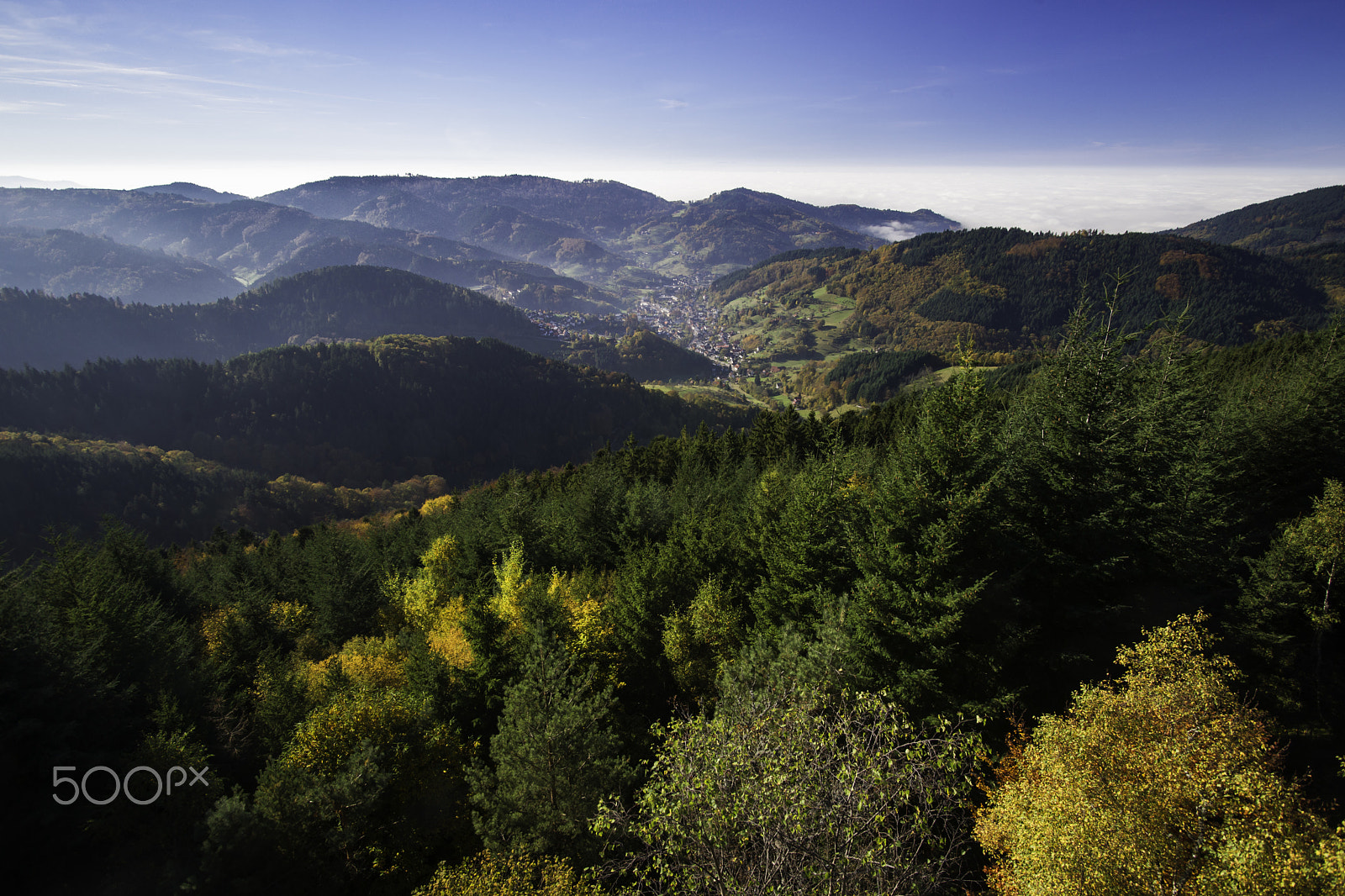 Minolta AF 17-35mm F3.5 G sample photo. Autumn in the black forest photography