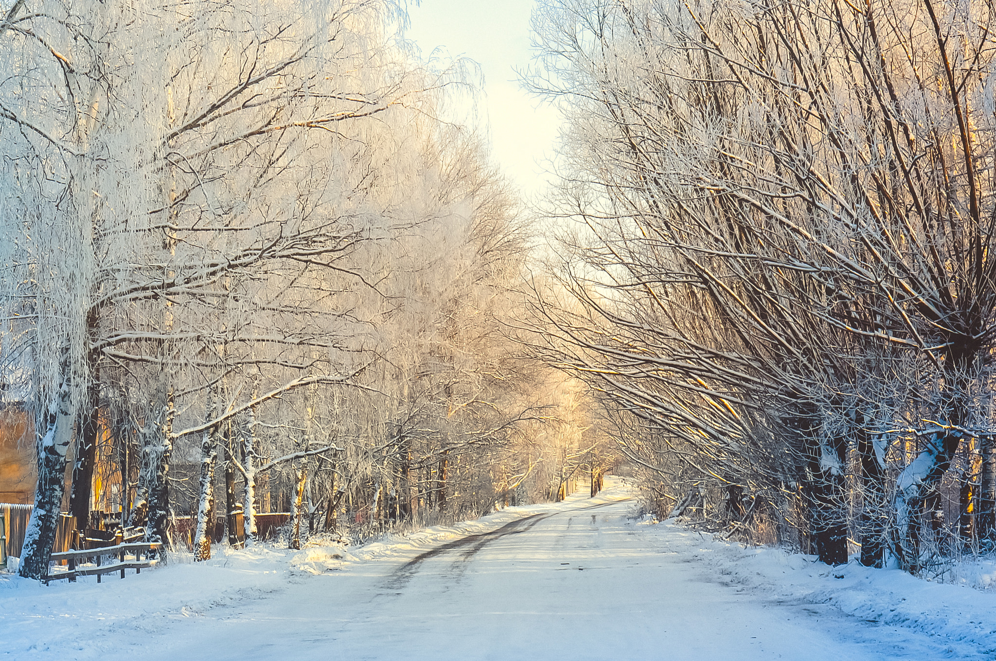 Sony Alpha NEX-6 + E 50mm F1.8 OSS sample photo. Russian winter silence photography