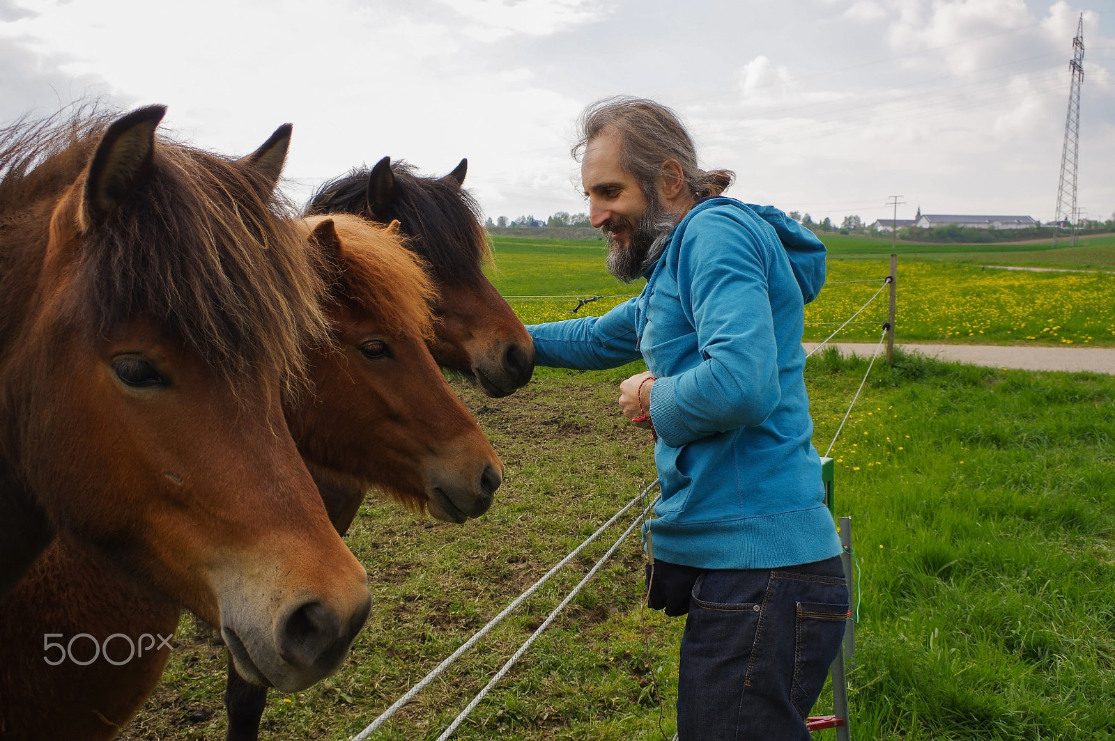 Pentax K-3 sample photo. Man speaking with horses on a meadow at summer time, whisperer photography