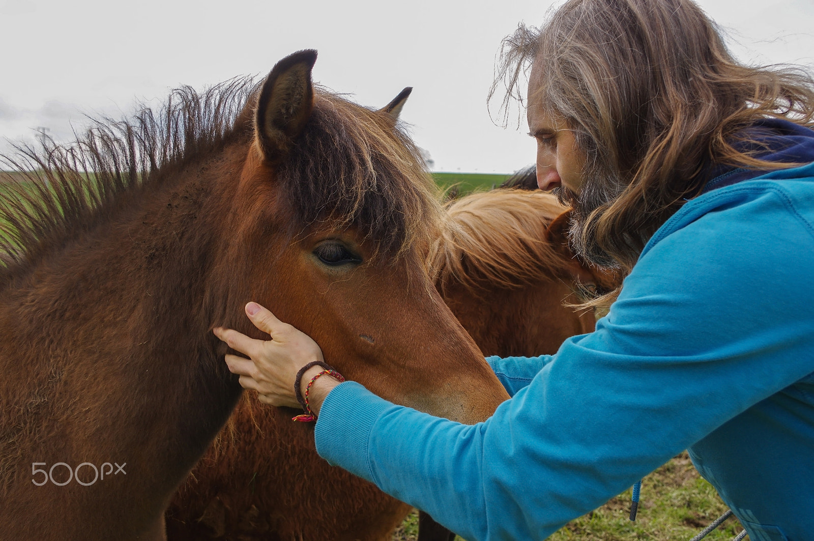 Pentax K-3 sample photo. Man speaking with horses on a meadow at summer time, whisperer photography