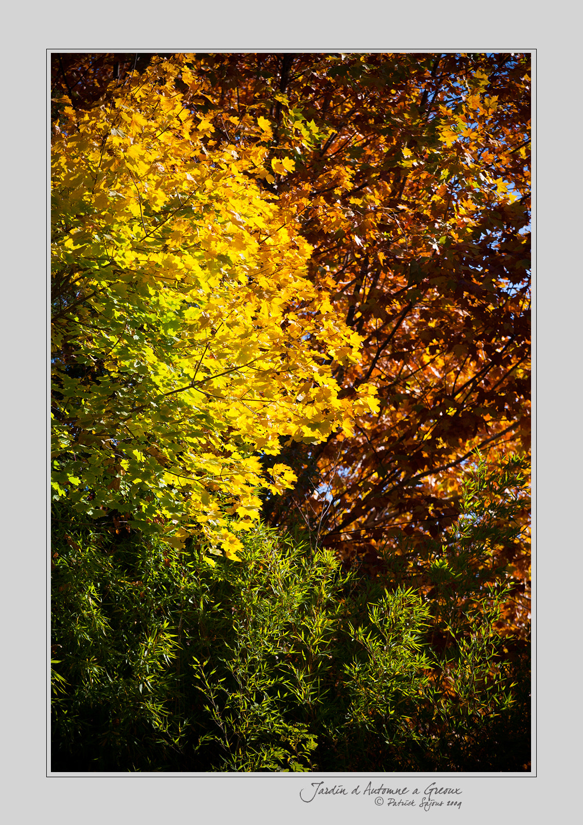 Canon EOS-1Ds Mark II sample photo. Jardin d'automne à gréoux photography