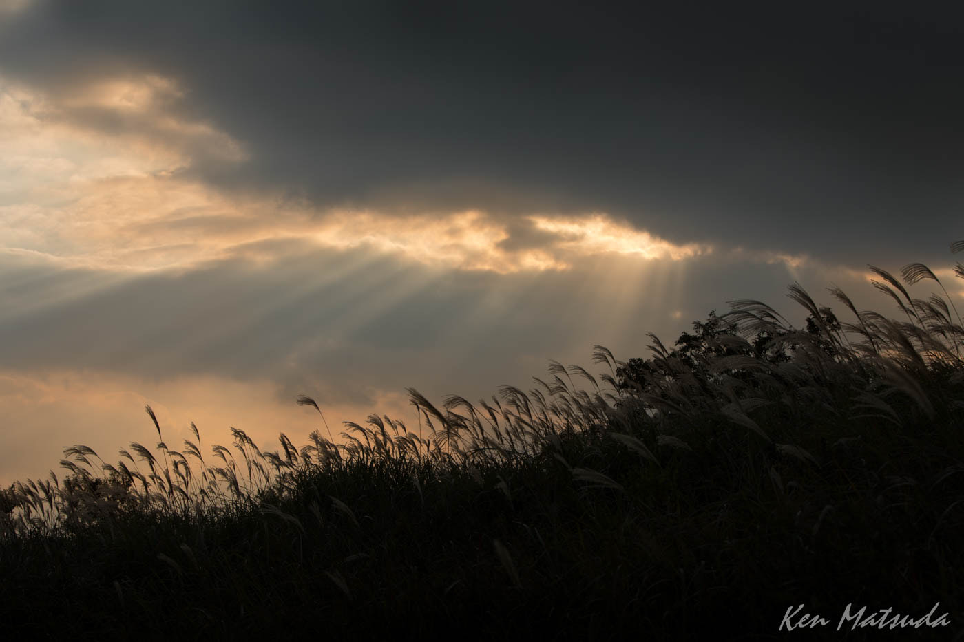 Canon EF 70-200mm F2.8L IS USM sample photo. Sunset photography