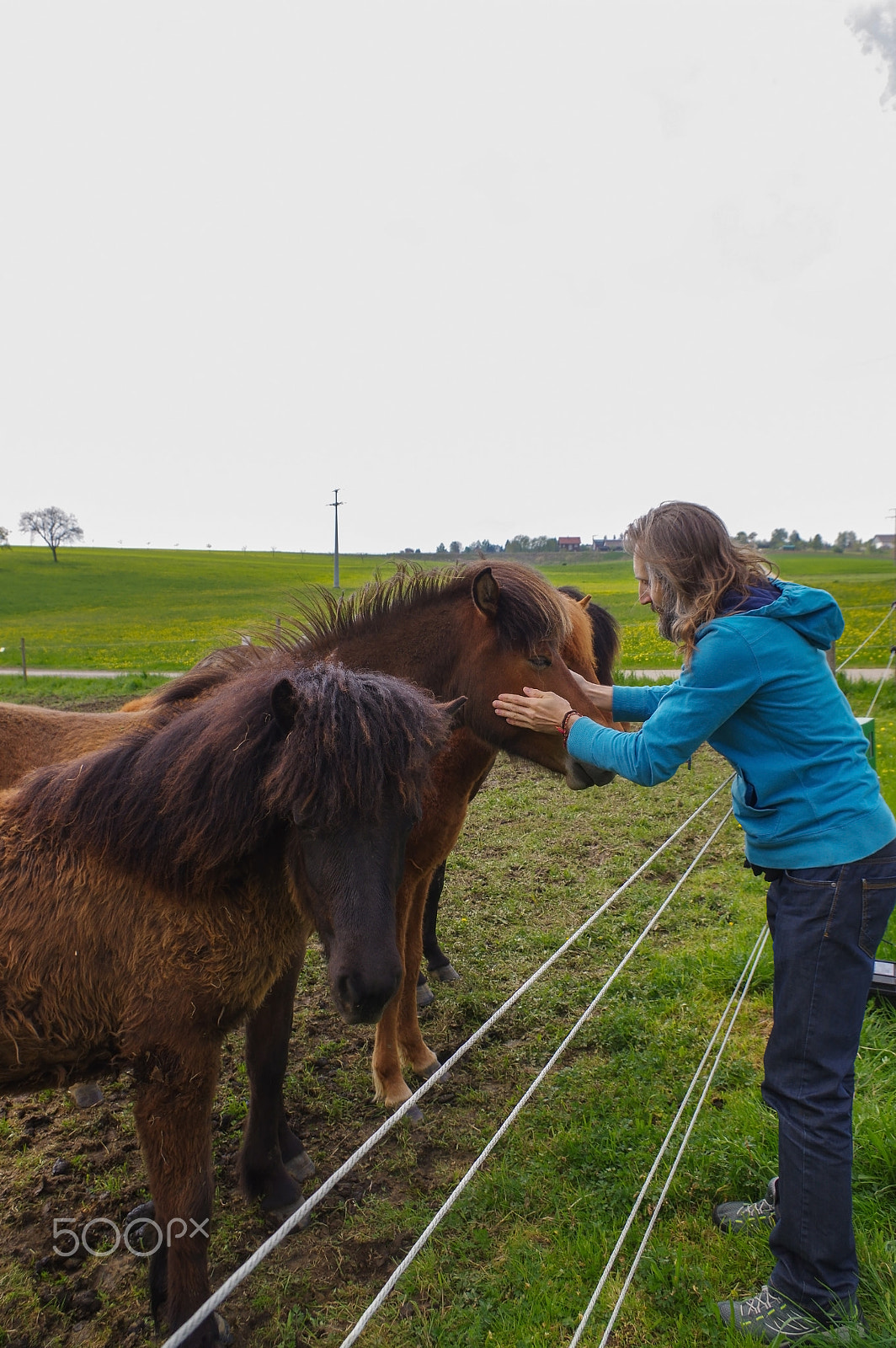 Pentax K-3 sample photo. Man speaking with horses on a meadow at summer time, whisperer photography