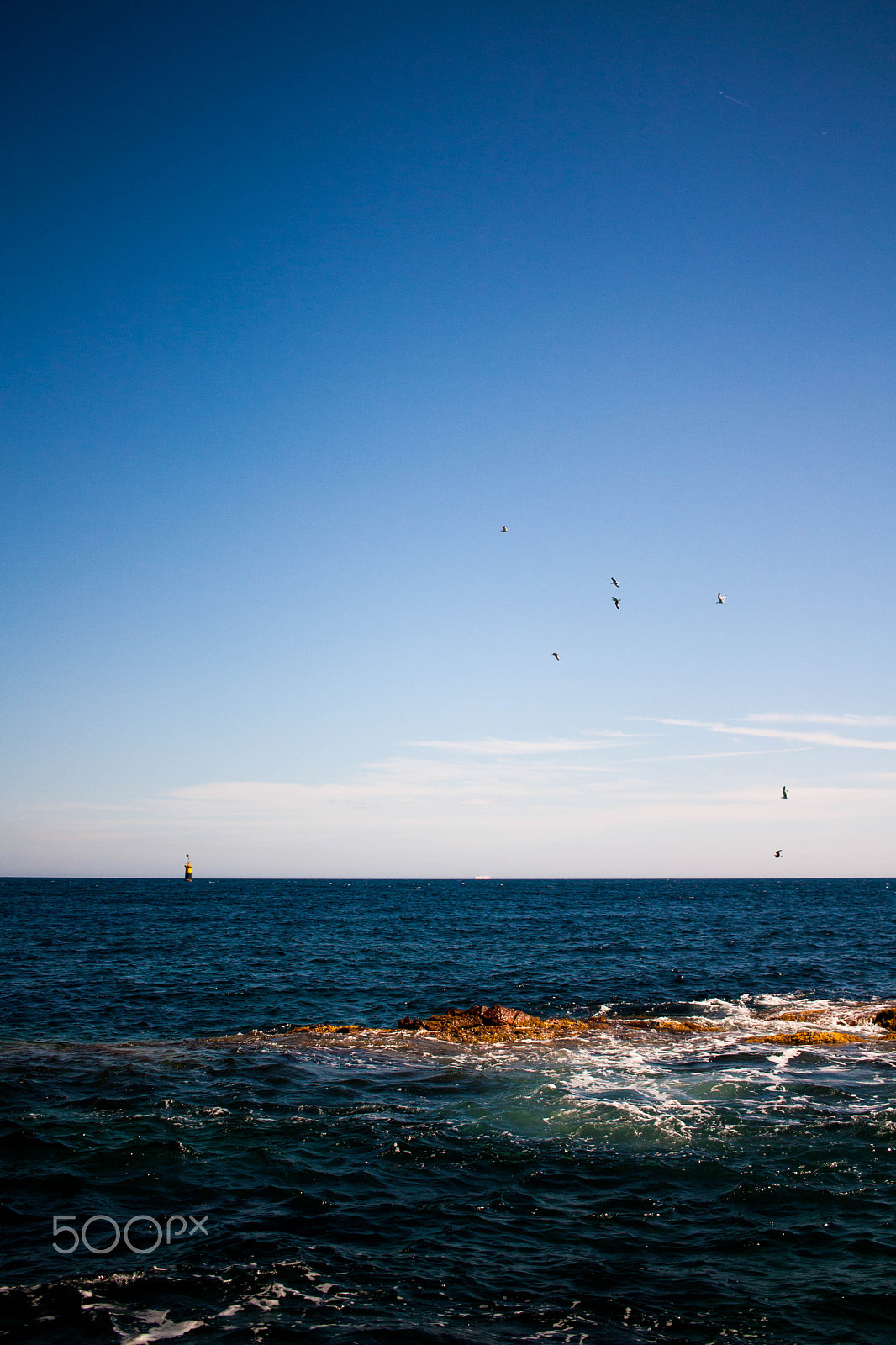 Canon EF-S 24mm F2.8 STM sample photo. Life in motion photography