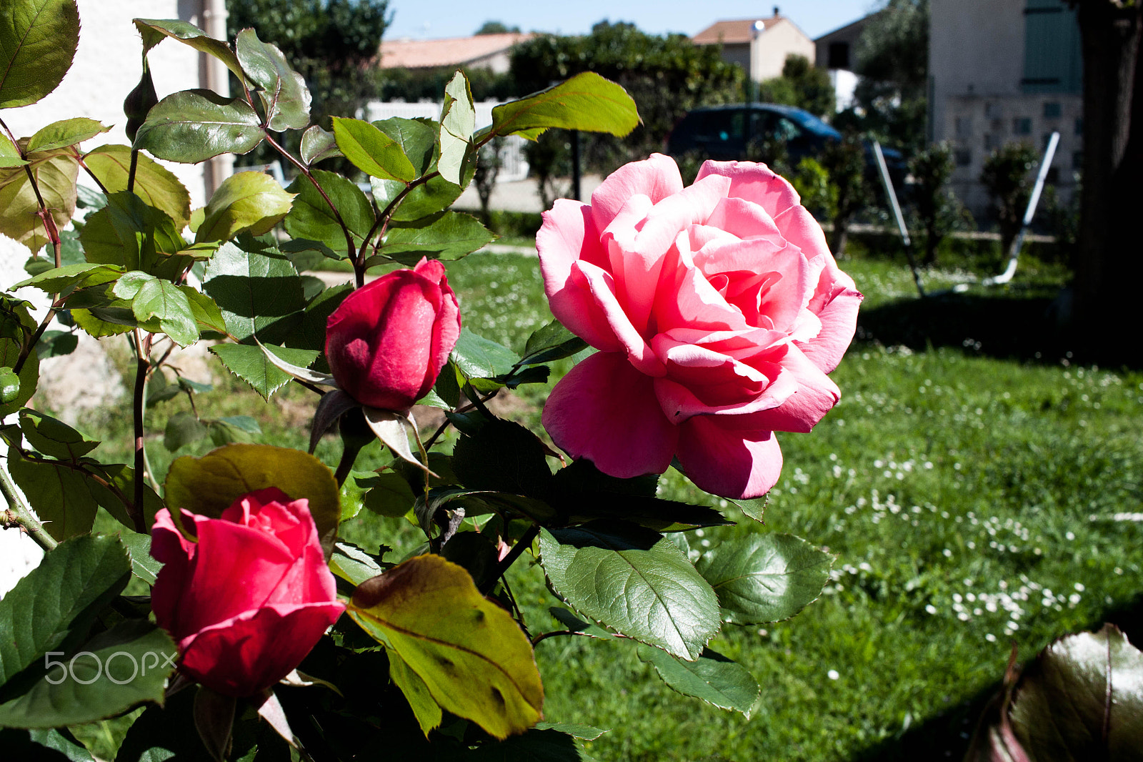 Canon EF-S 24mm F2.8 STM sample photo. Life in motion photography