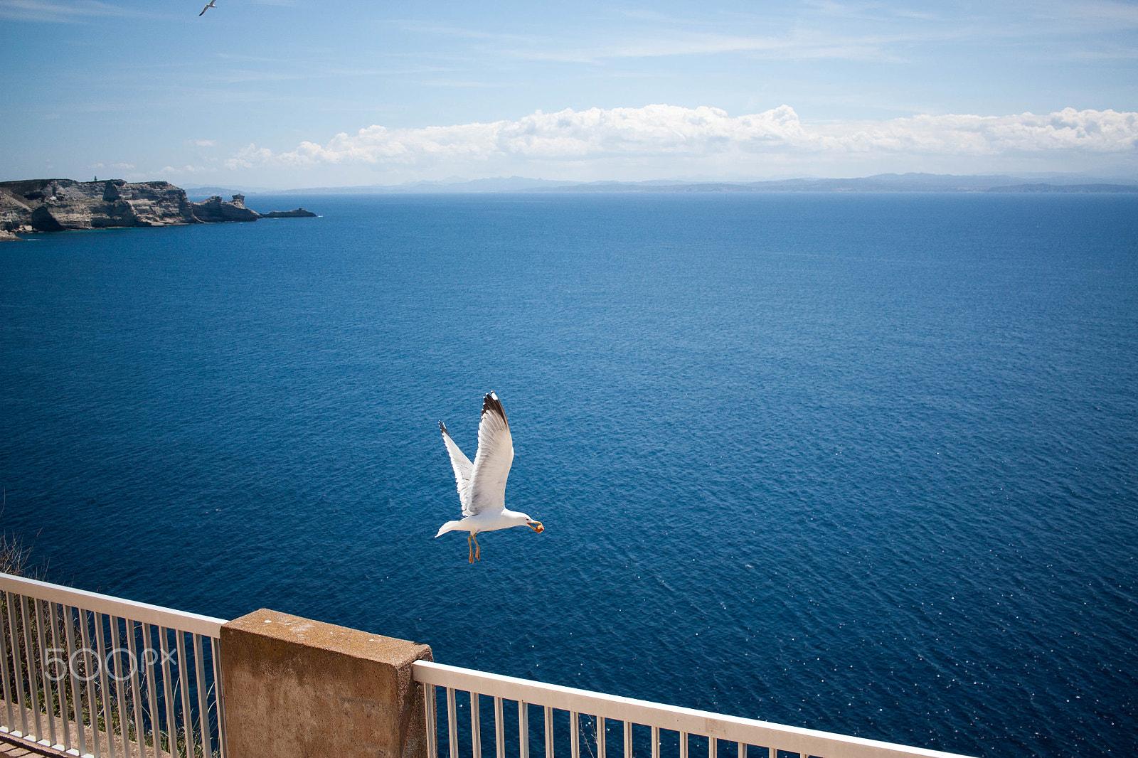 Canon EF-S 24mm F2.8 STM sample photo. Life in motion photography
