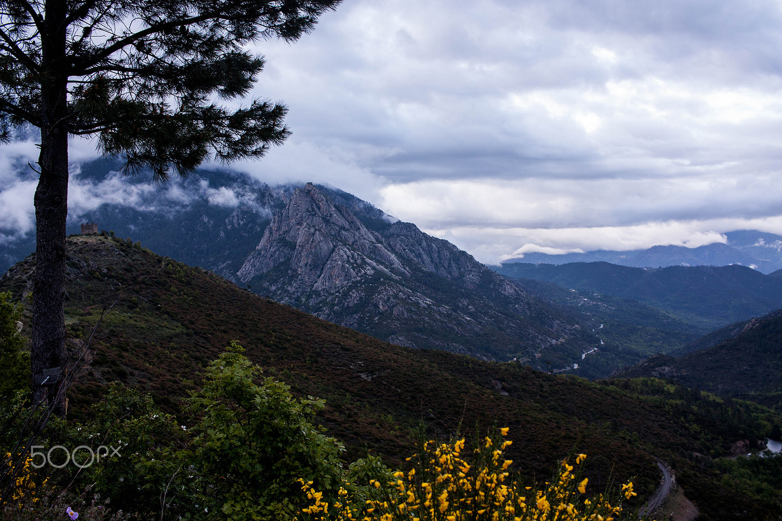 Canon EF-S 24mm F2.8 STM sample photo. Life in motion photography