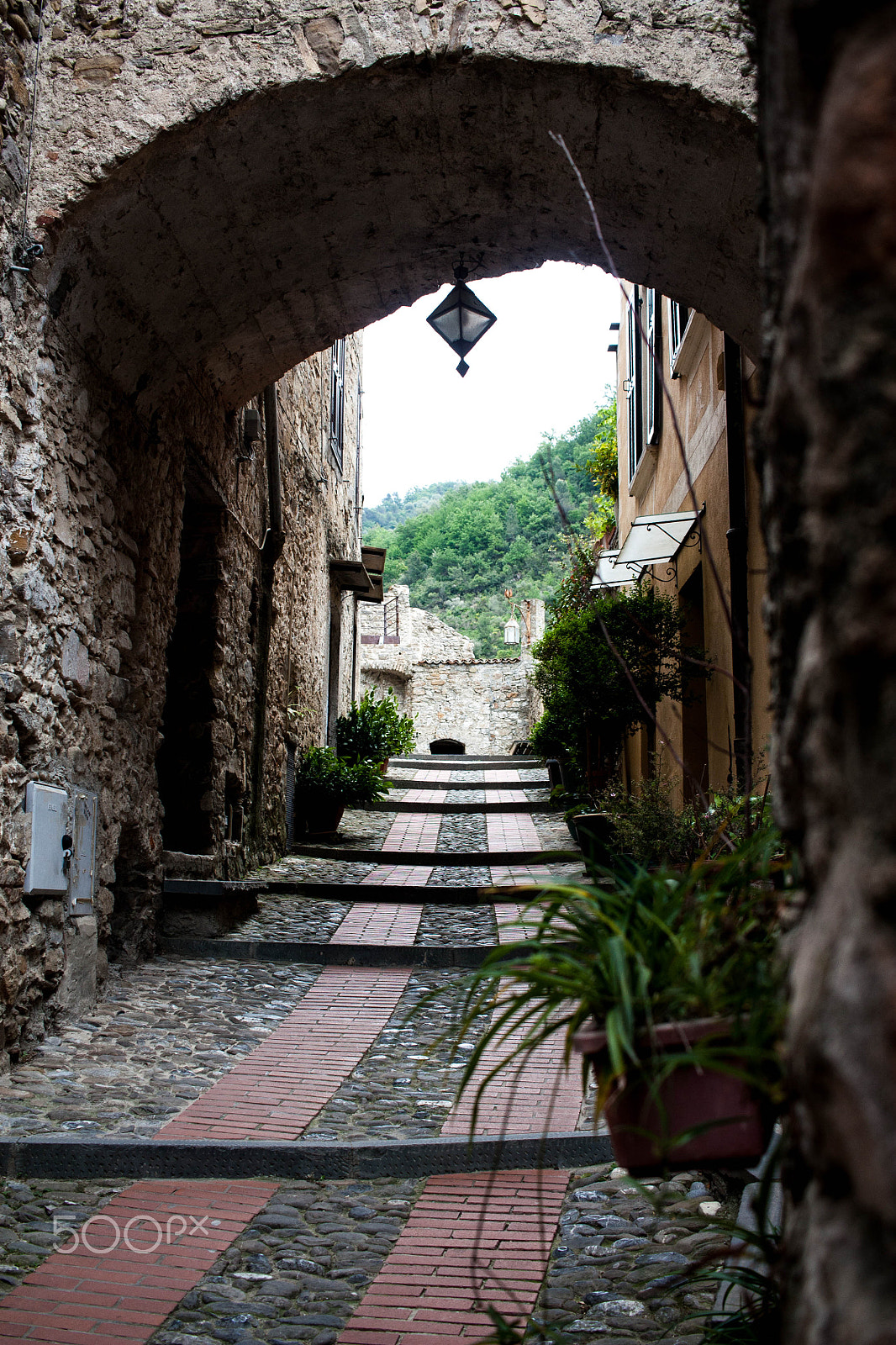 Canon EF-S 24mm F2.8 STM sample photo. Life in motion photography