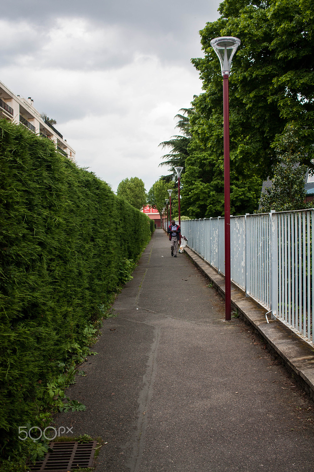 Canon EF-S 24mm F2.8 STM sample photo. Life in motion photography