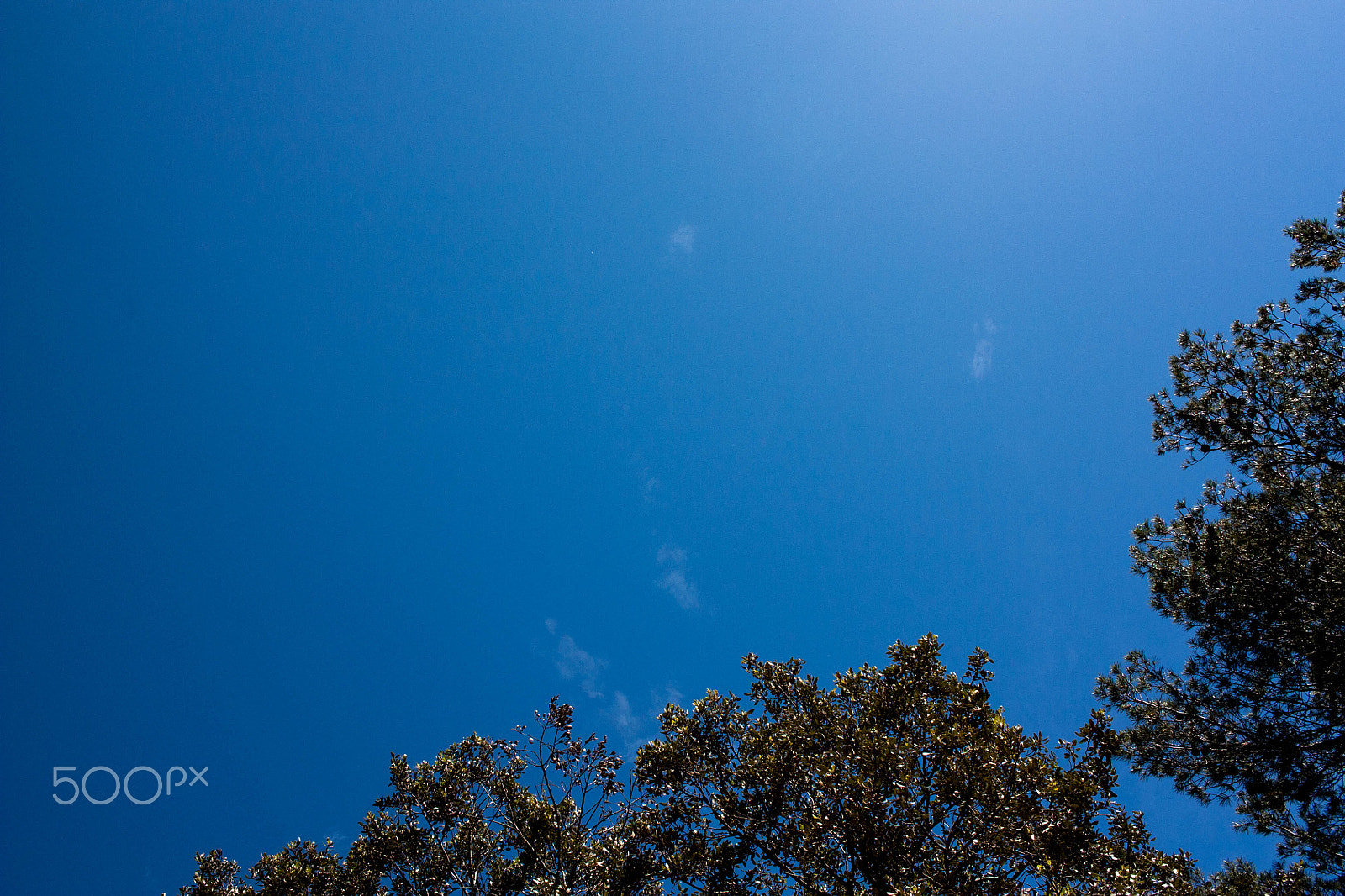 Canon EF-S 24mm F2.8 STM sample photo. Life in motion photography