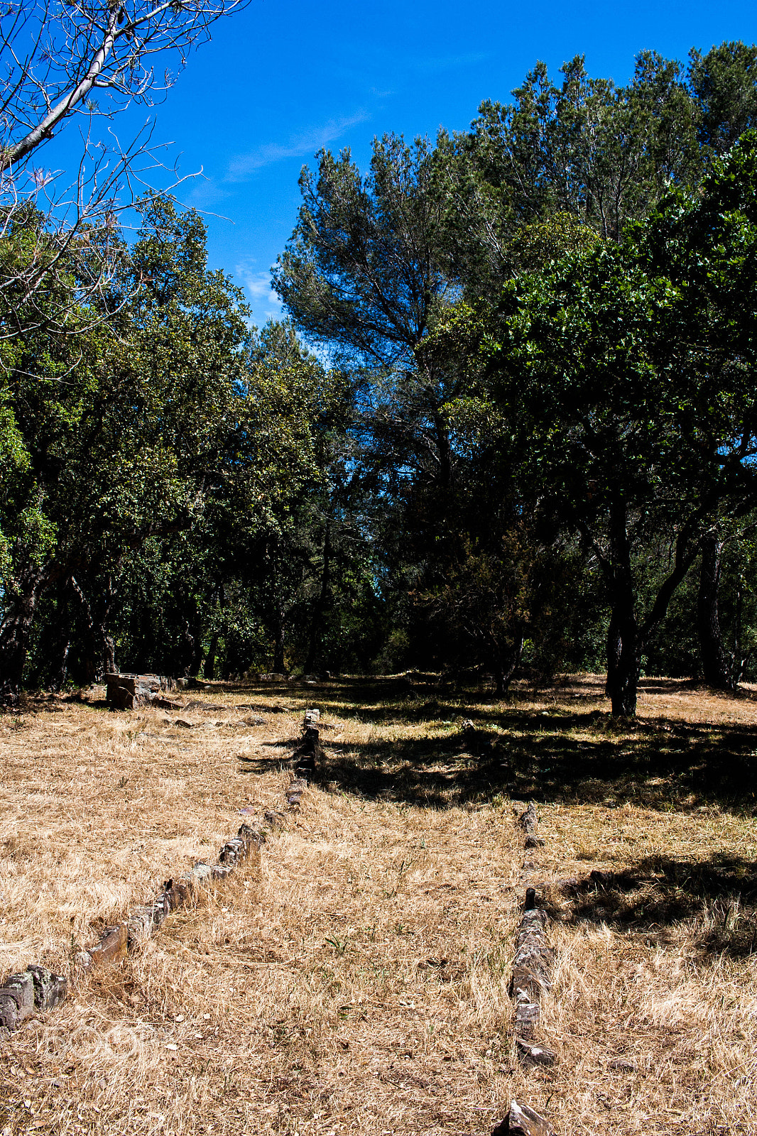 Canon EF-S 24mm F2.8 STM sample photo. Life in motion photography