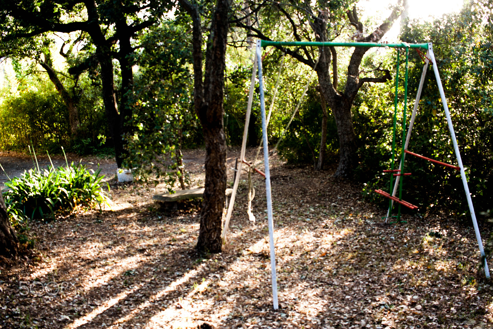 Canon EF-S 24mm F2.8 STM sample photo. Life in motion photography