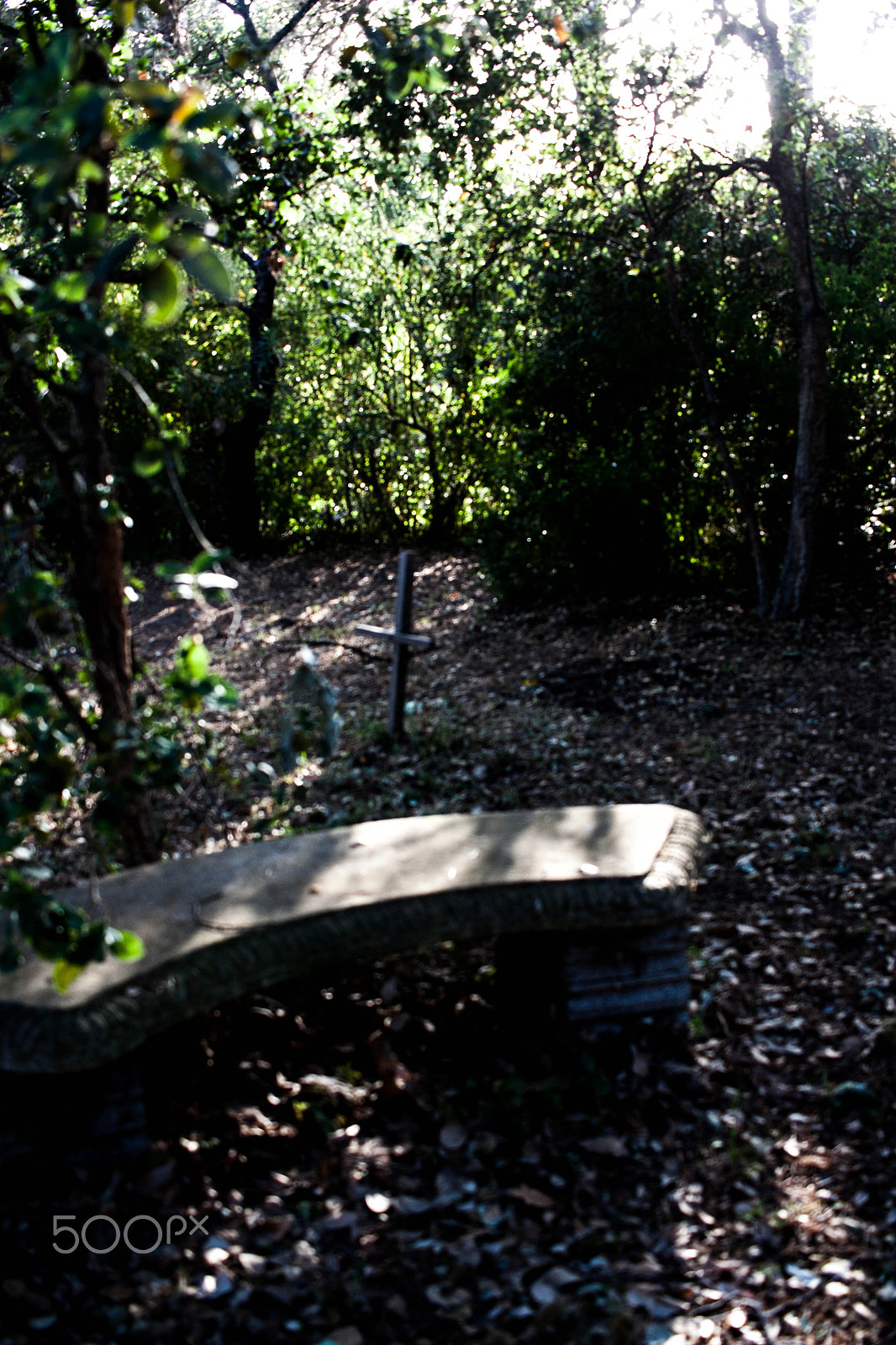 Canon EF-S 24mm F2.8 STM sample photo. Life in motion photography