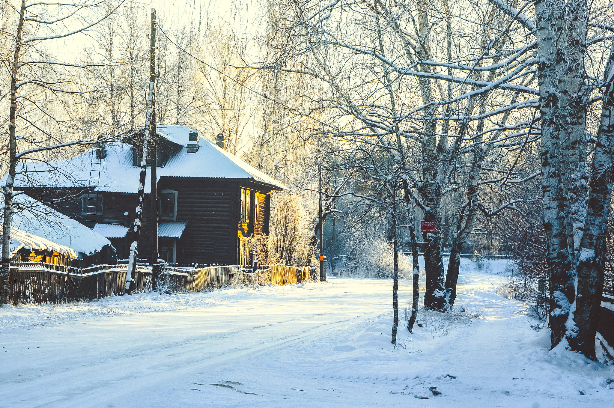 Sony Alpha NEX-6 + E 50mm F1.8 OSS sample photo. Magic winter photography