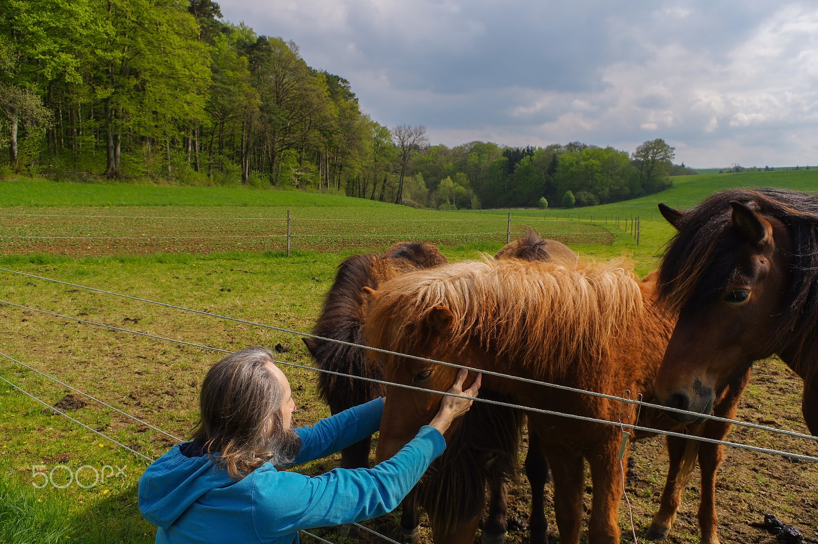 Pentax K-3 sample photo. Man speaking with horses on a meadow at summer time, whisperer photography