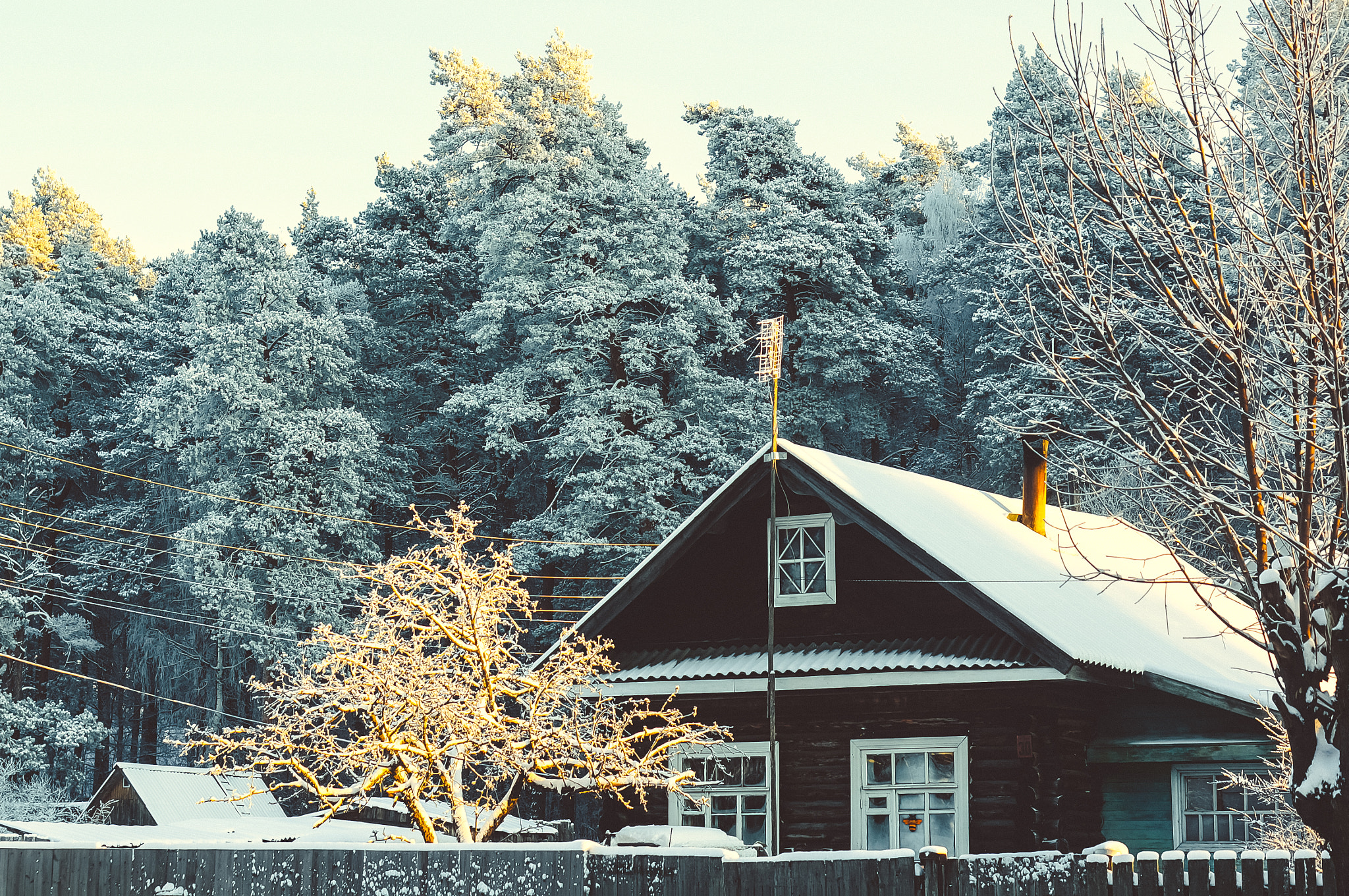 Sony Alpha NEX-6 + E 50mm F1.8 OSS sample photo. Ice kingdom photography