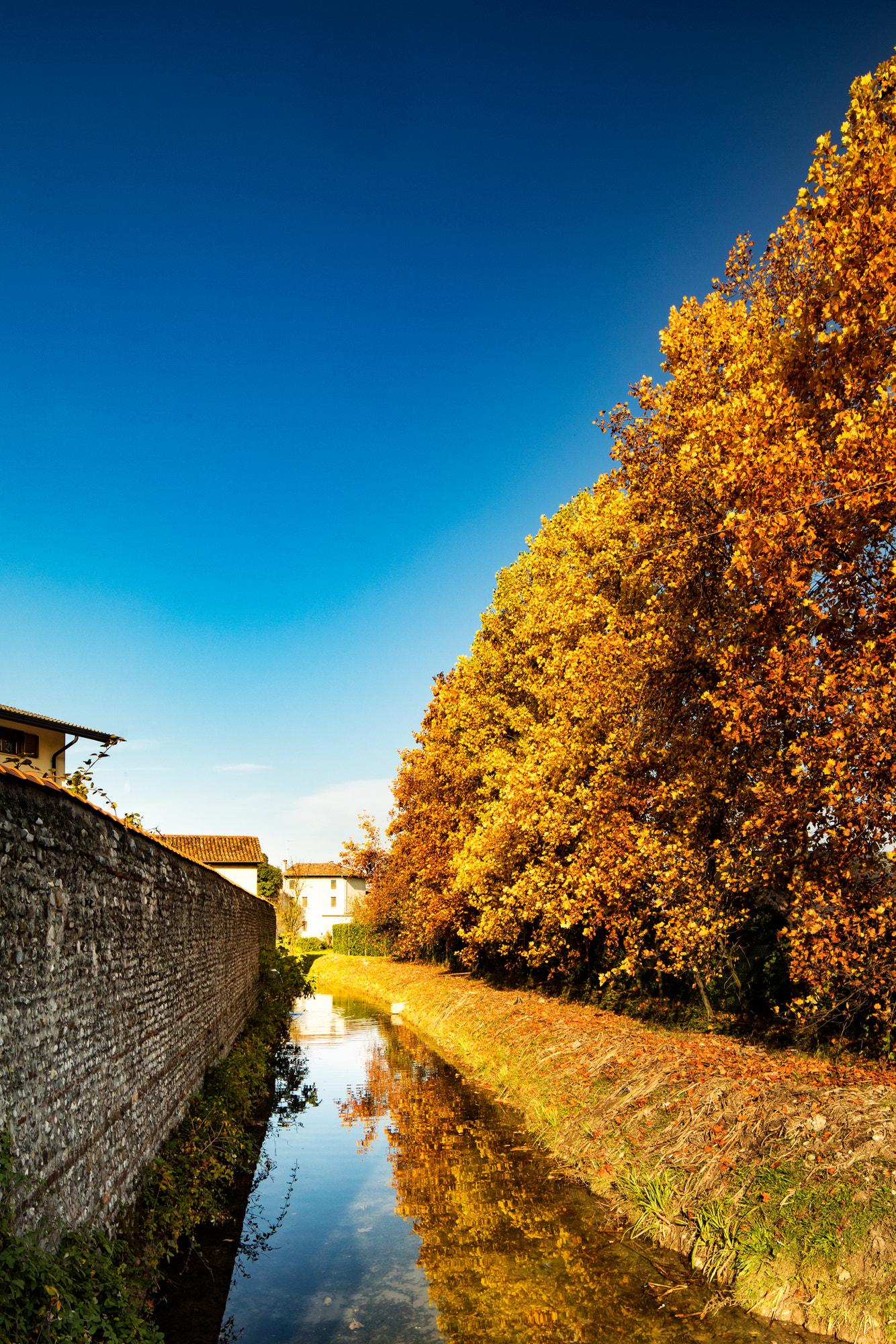 Canon TS-E 24.0mm f/3.5 L II sample photo. La vecchia roggia photography