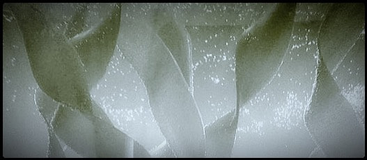 Hipstamatic 273 sample photo. Glass (tempest solution) photography