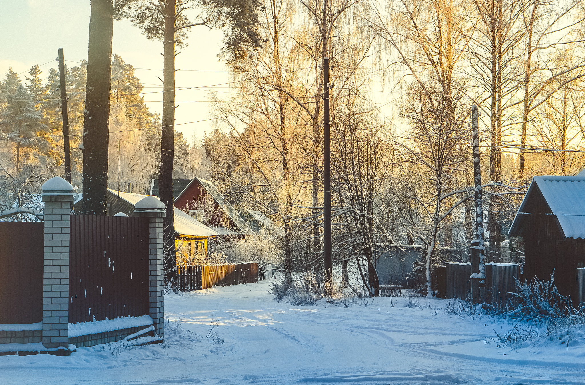 Sony Alpha NEX-6 sample photo. Magic way home photography