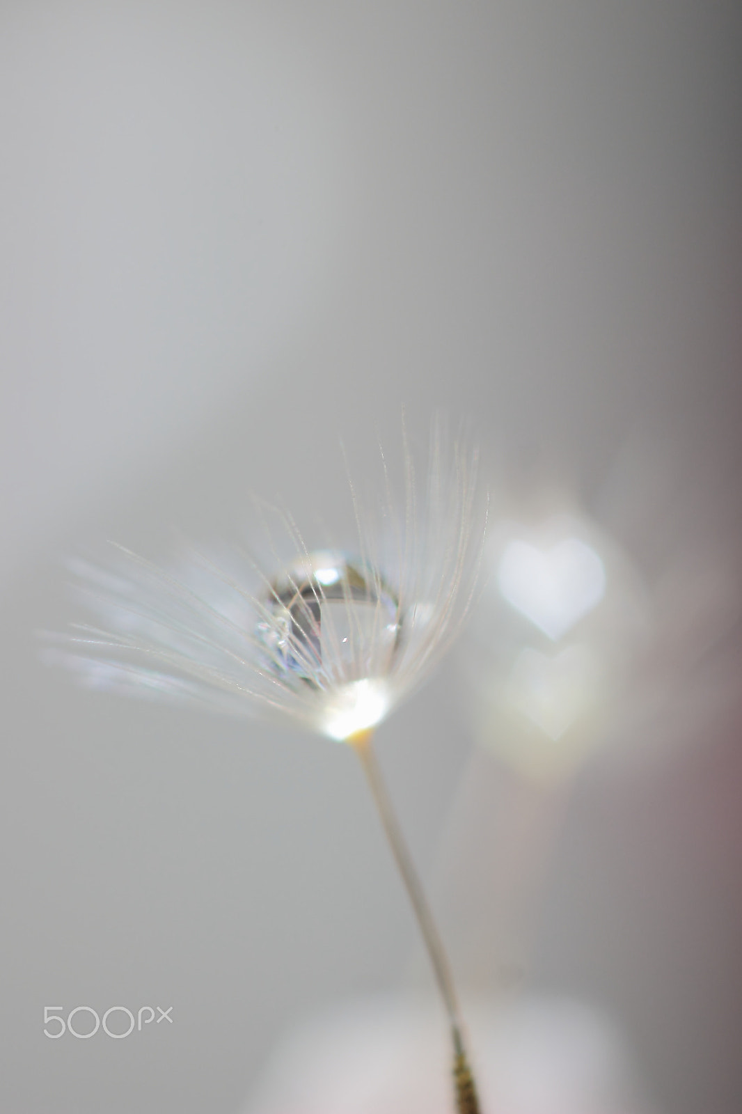 Canon EF 100mm F2.8 Macro USM sample photo. Crystal photography