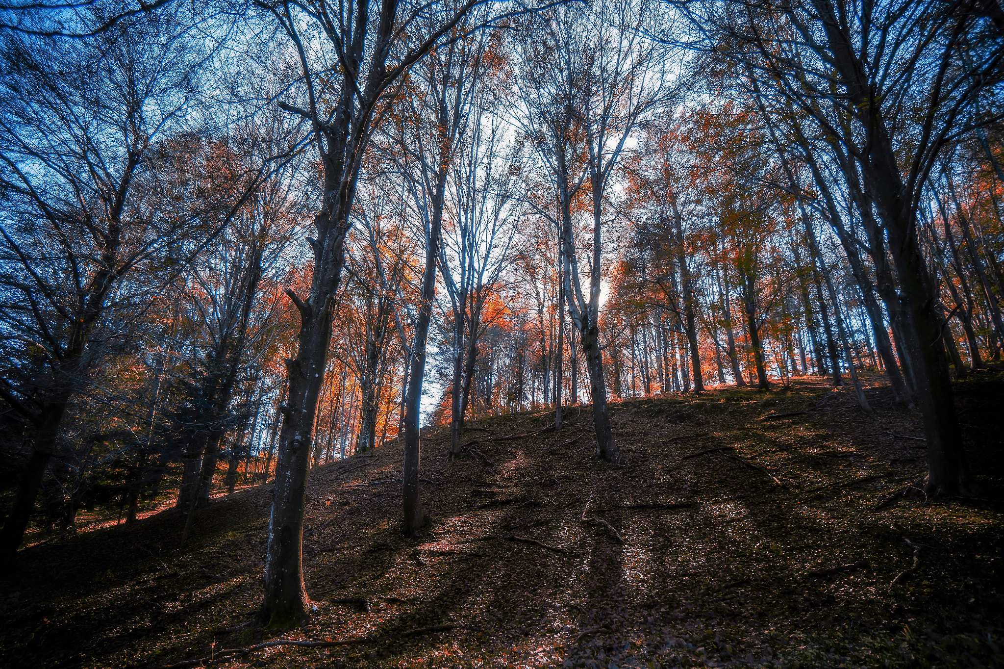 Sony Alpha a5000 (ILCE 5000) + Sony E 10-18mm F4 OSS sample photo. Horizon is not far away photography