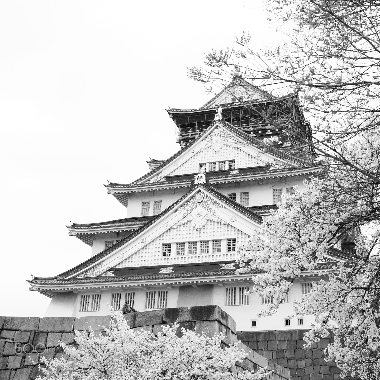 Nikon D300S + Nikon AF Nikkor 24mm F2.8D sample photo. Osaka castle photography