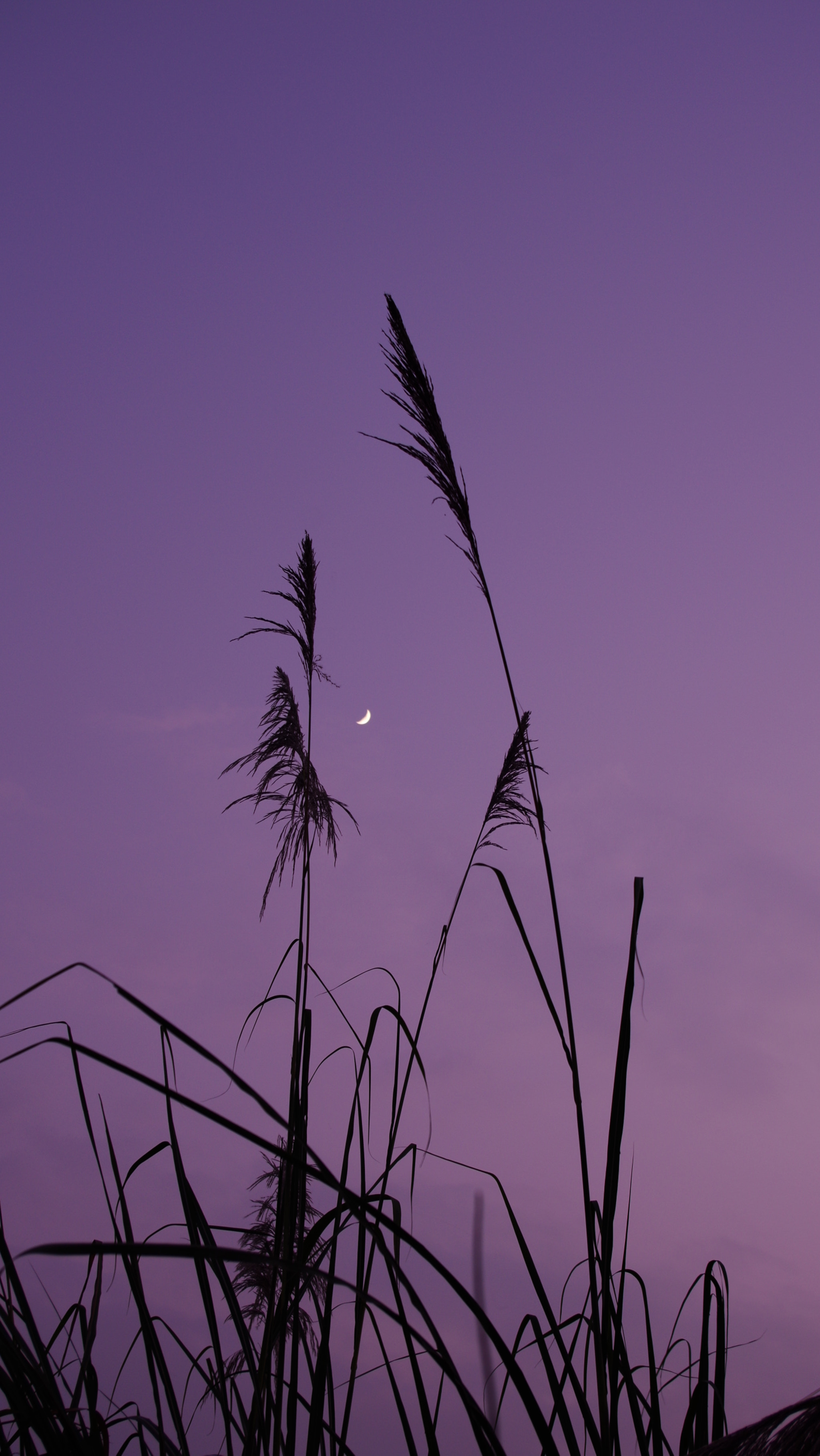 Pentax K-01 sample photo