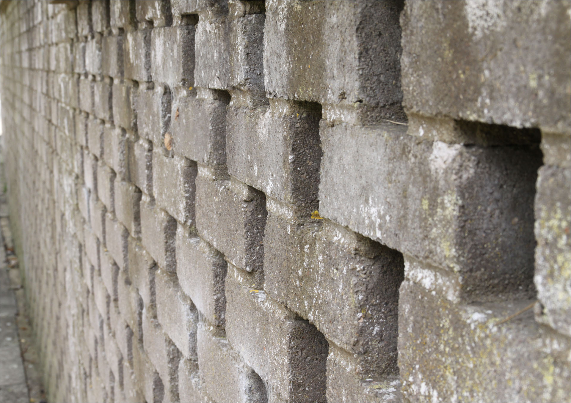 Canon EOS 50D sample photo. Andy's wall photography