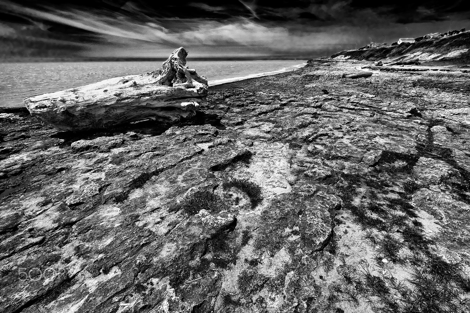 Fujifilm XF 10-24mm F4 R OIS sample photo. La souche... photography