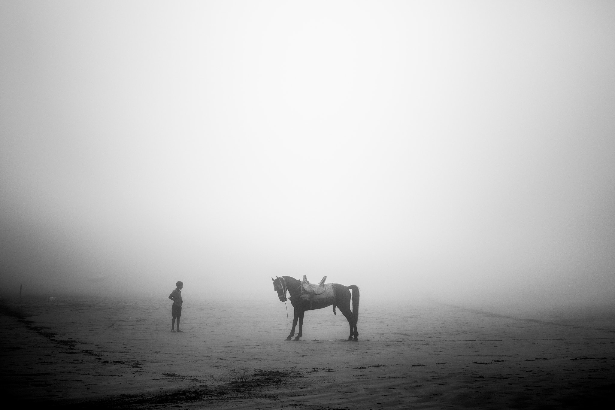 Canon EOS 7D Mark II sample photo. Horse inside the clouds photography