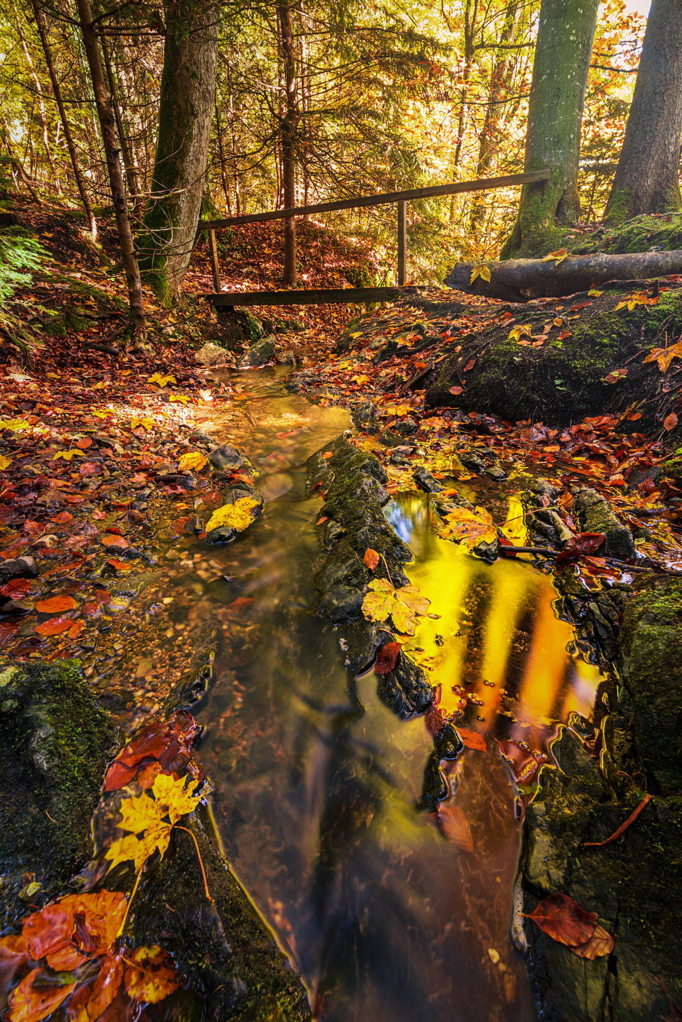Tamron SP 15-30mm F2.8 Di VC USD sample photo. Autumnpeak photography